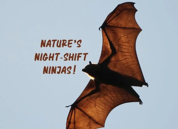 Nature's Night-Shift Ninjas!