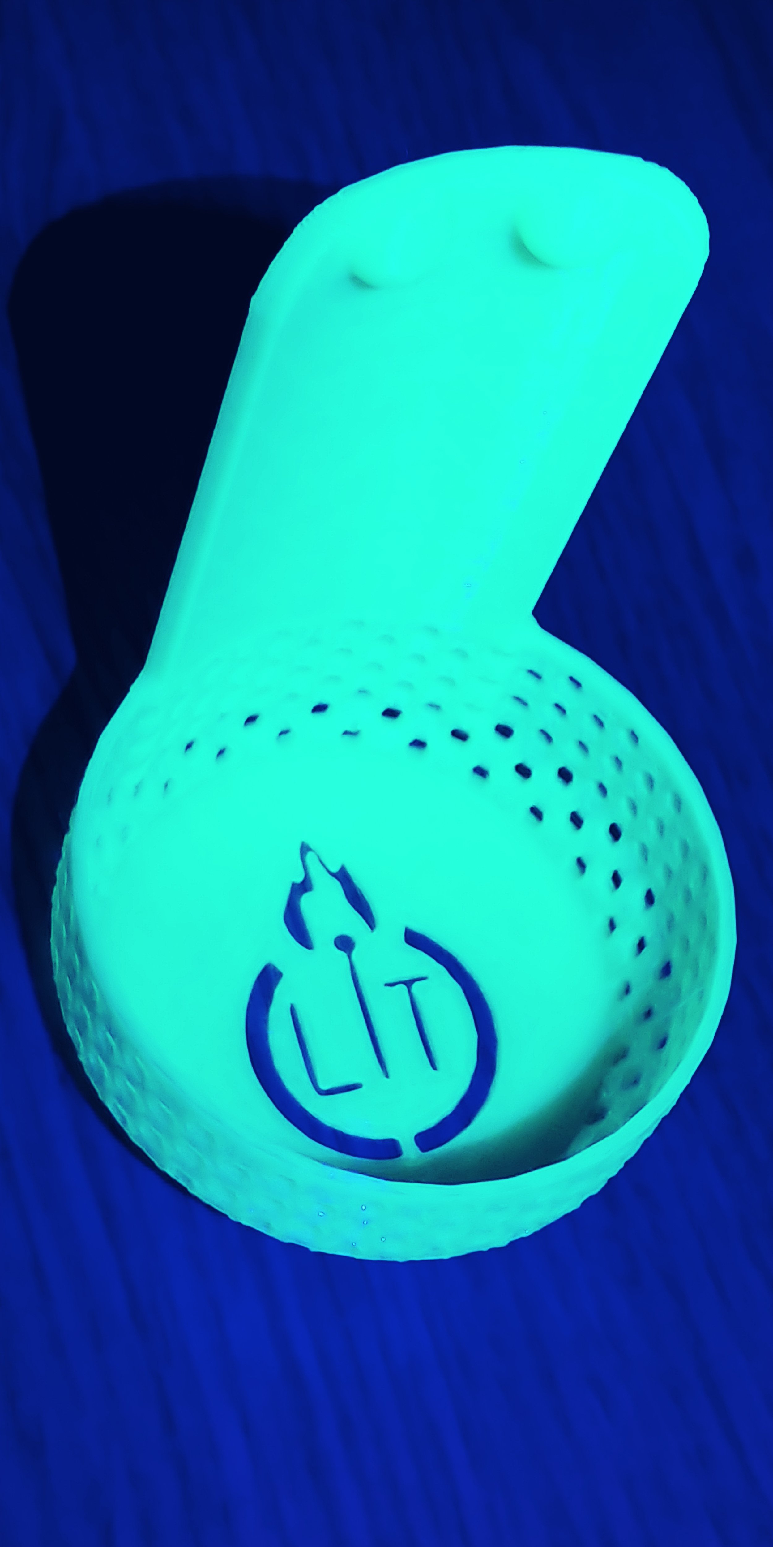 0302222008c.jpg