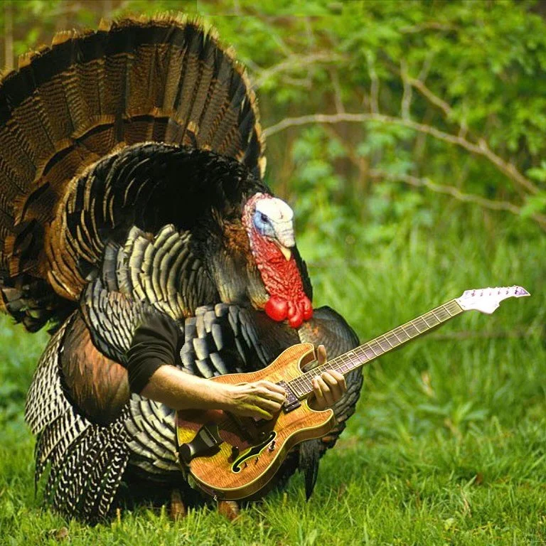 happy (almost) thanksgiving, from the Aurora Sound family to yours 🫂