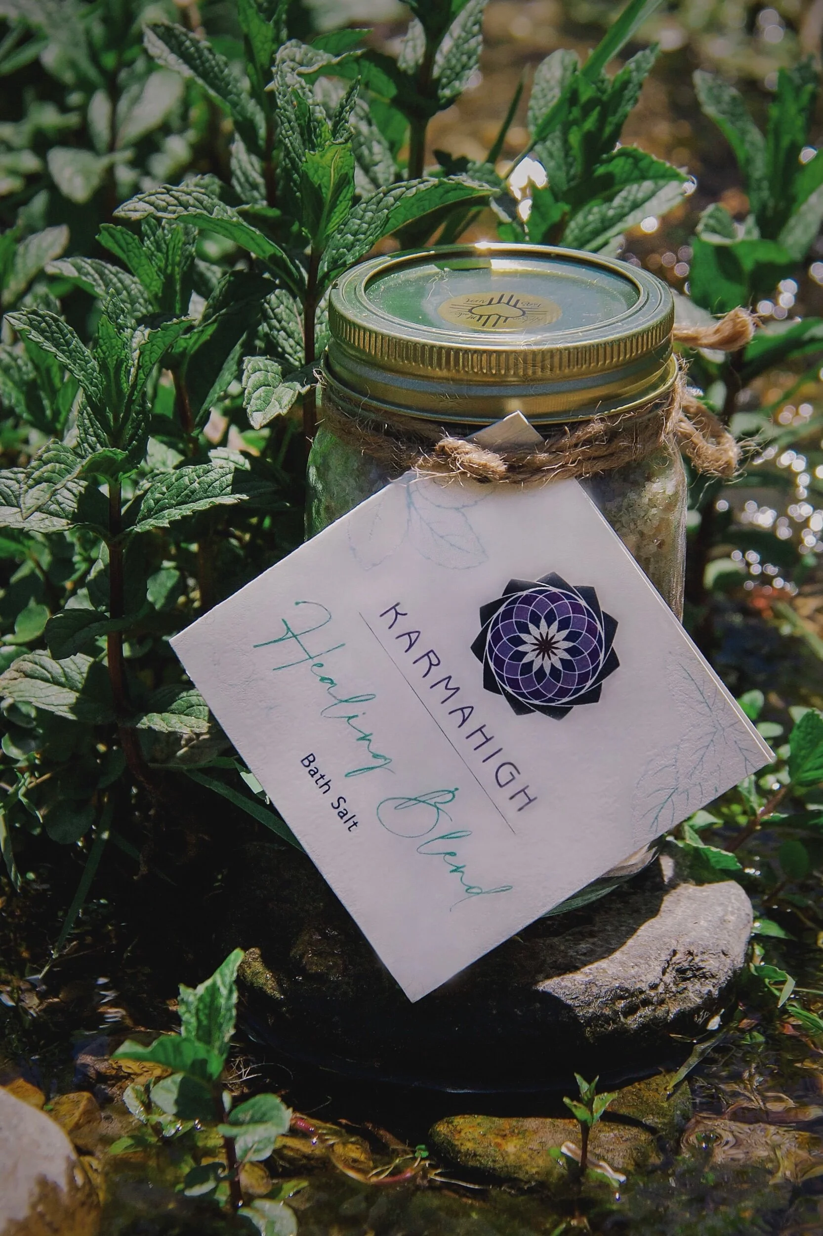 B6E931DF-BC19-454D-8FD7-6E837C18078D