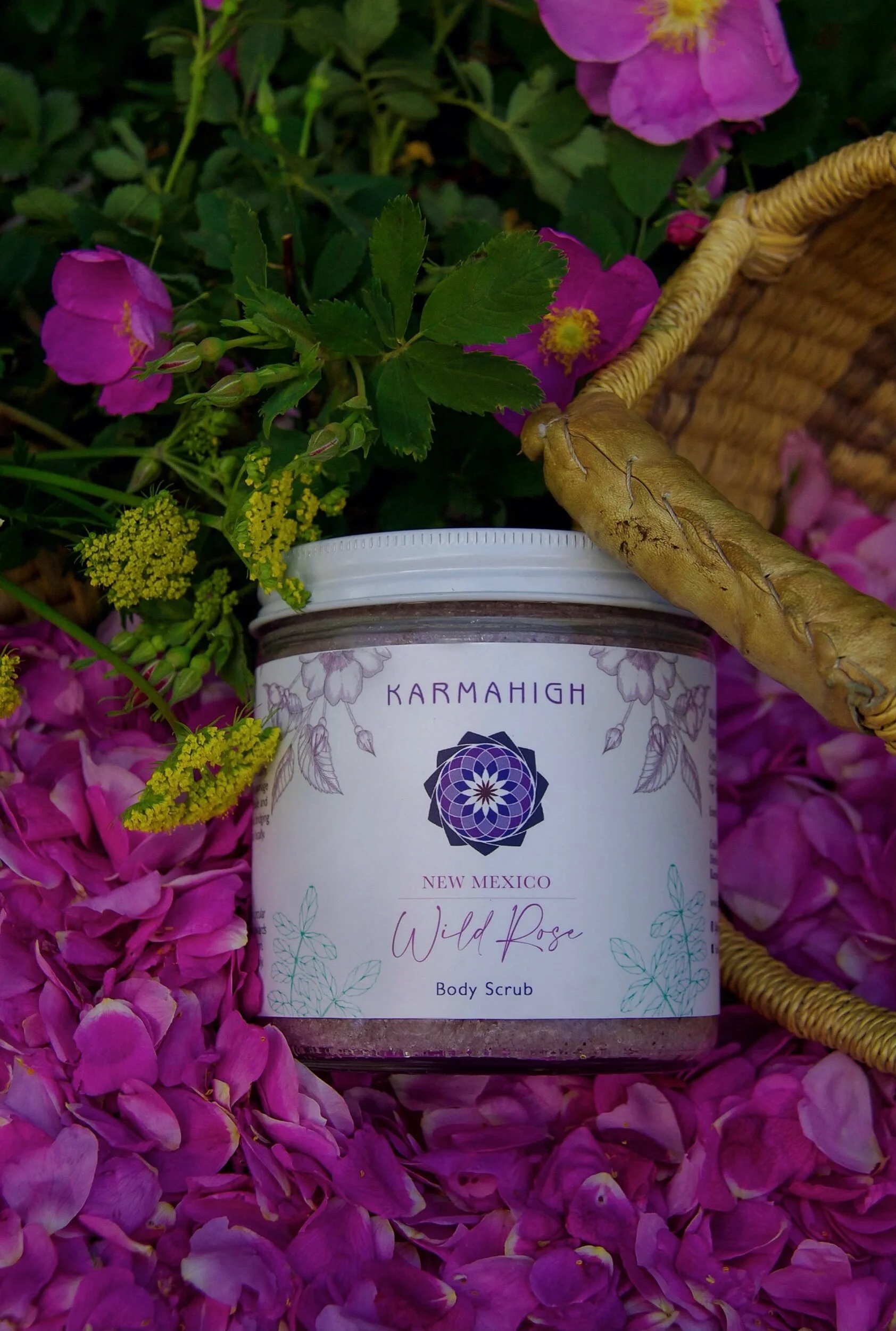 8E74BD2E-871A-48A0-8CD6-1BFEEB269429