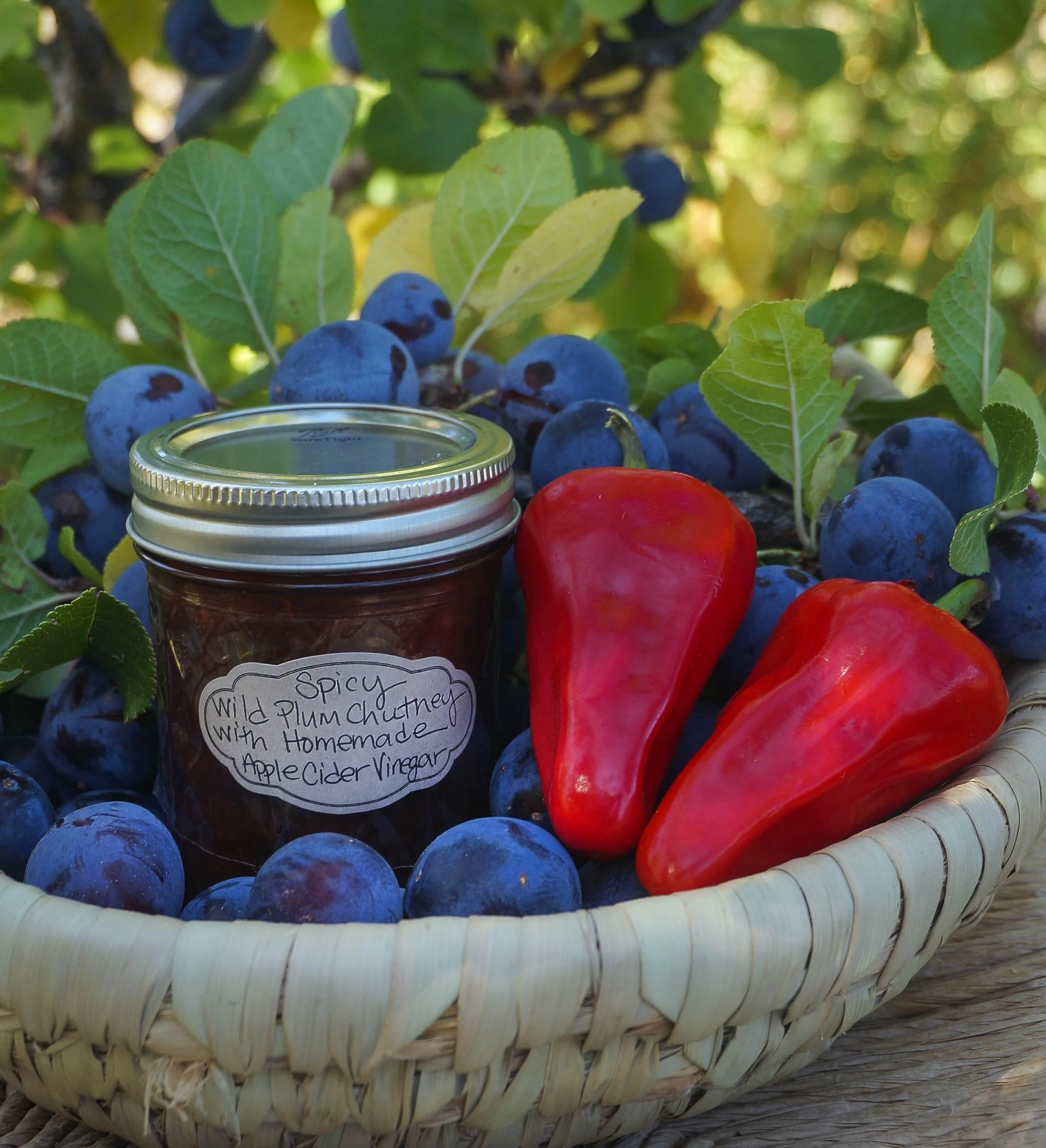 D430EAFA-B03A-4A3F-81E0-ED8776CBAD7F