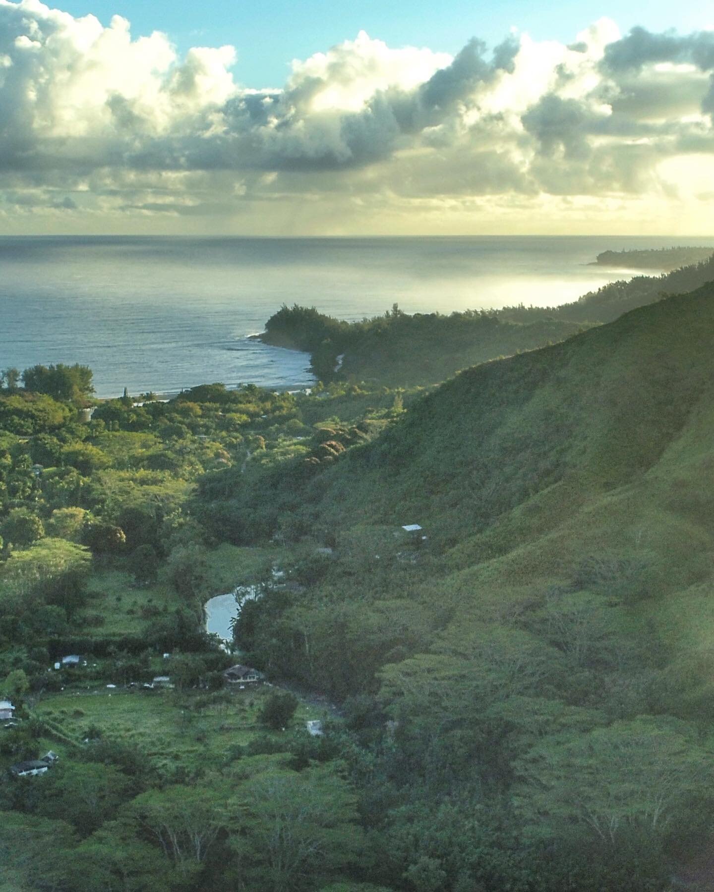 Kauai vibes ✨ Photo by @jackchellemi We are stoked to have him on the team to document some of our exciting new projects. #kauai #hawaii