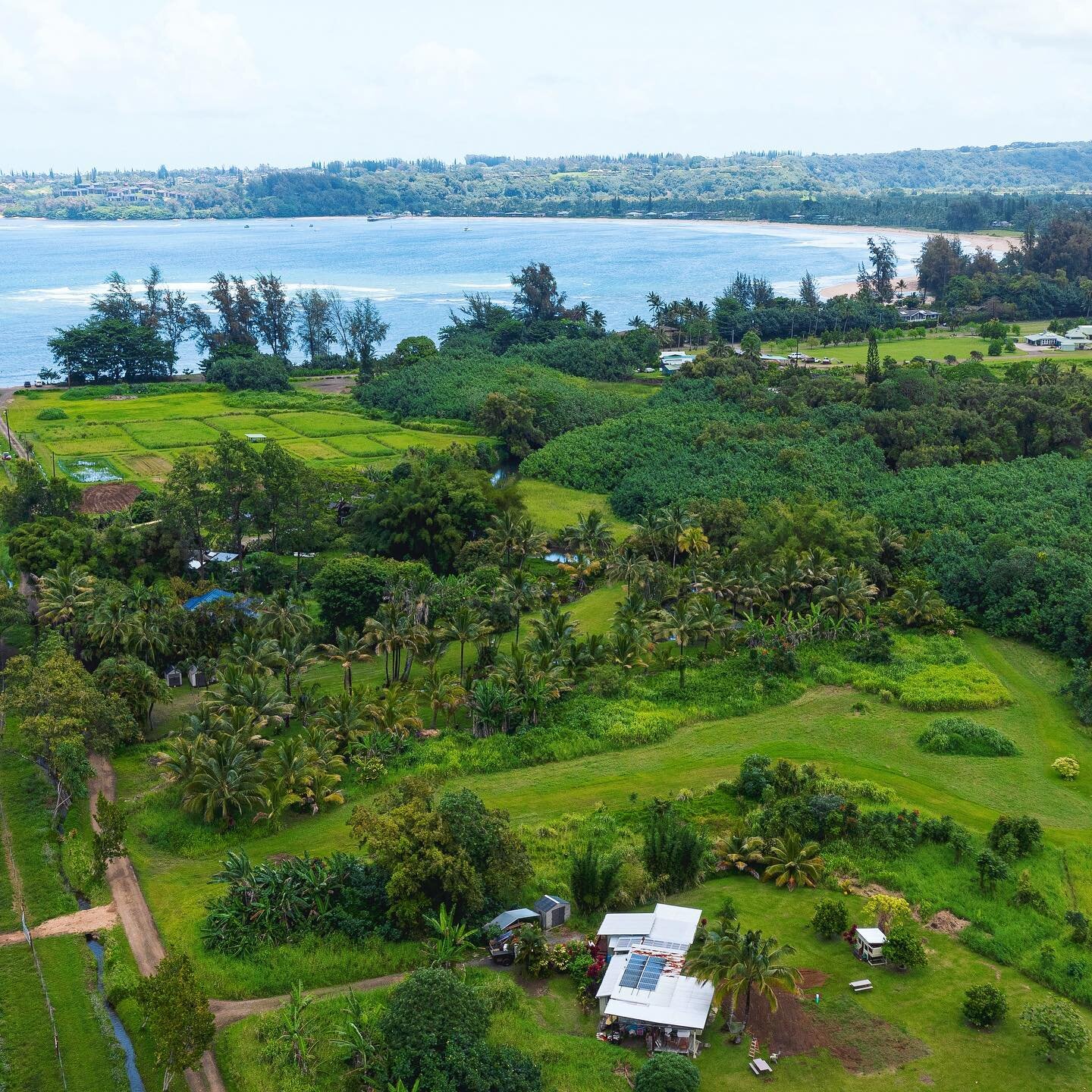 Solar PV &amp; Storage - anywhere, anytime. ☀️🌿One of our happy customers in the heart of Waipa.
 
#solarpv #kauai #solarenergy