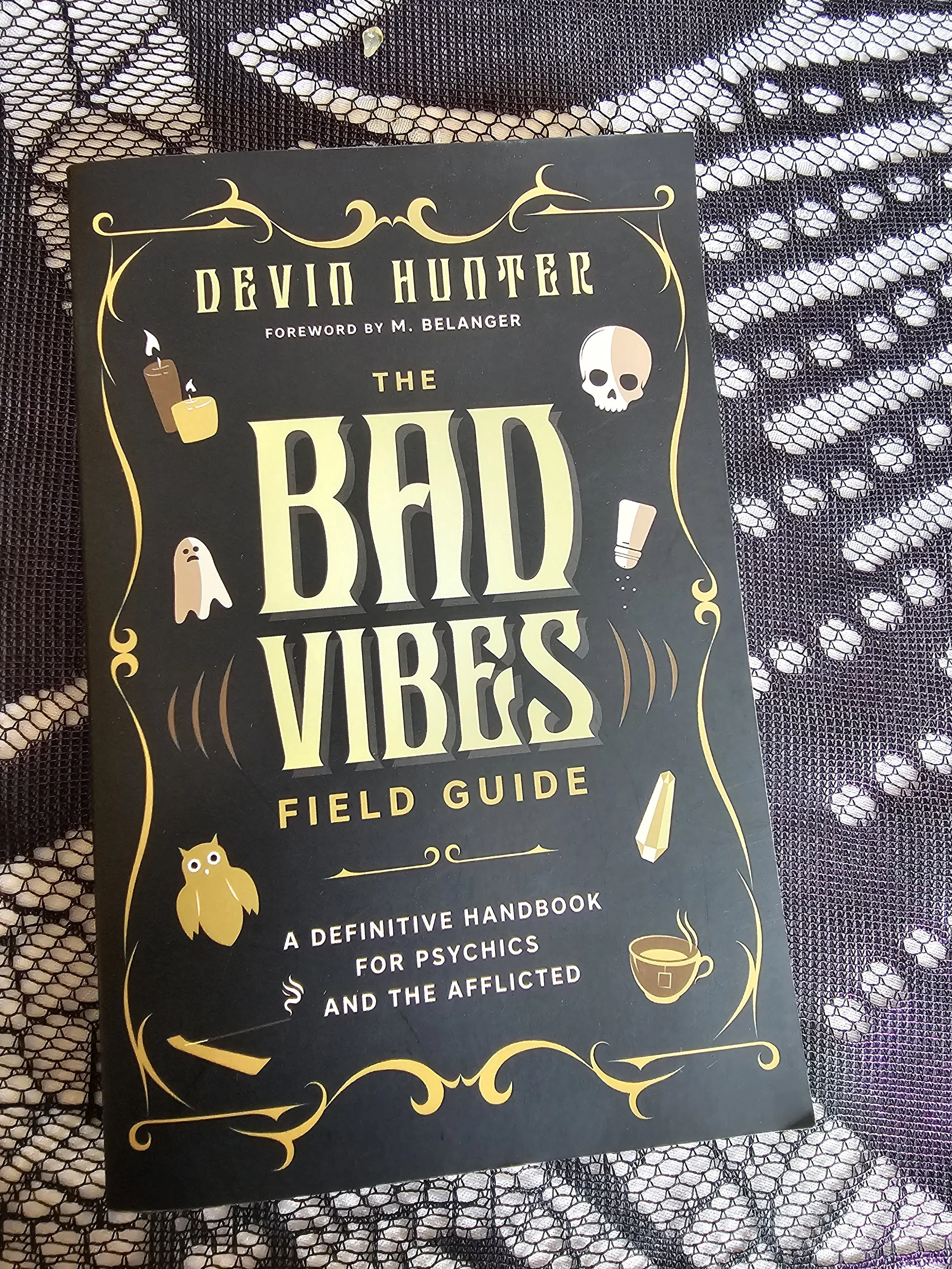 Bad Vibes Field Guide by Devin Hunter