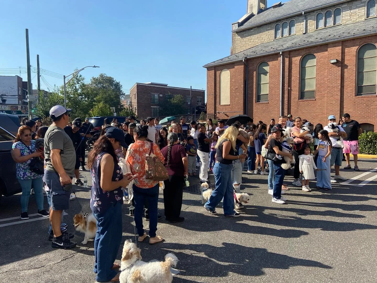 Yesterday at the annual blessing of animals! 
Saint Francis of Assisi, Pray for us!

&mdash;&mdash;&mdash;&mdash;&mdash;&mdash;&mdash;&mdash;&mdash;&mdash;&mdash;&mdash;&mdash;&mdash;&mdash;&mdash;&mdash;&mdash;&mdash;&mdash;&mdash;&mdash;&mdash;

Ay