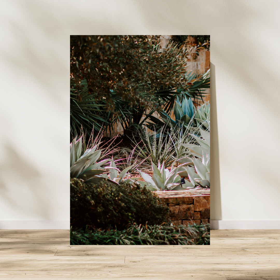 Hey, Hey, Agave Printable