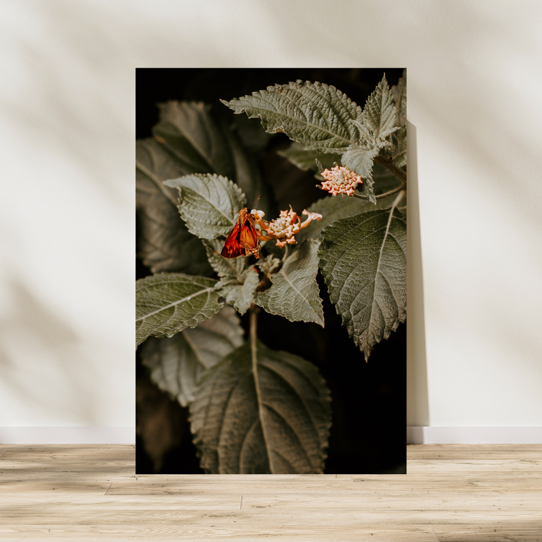 Nai's Butterfly Printable