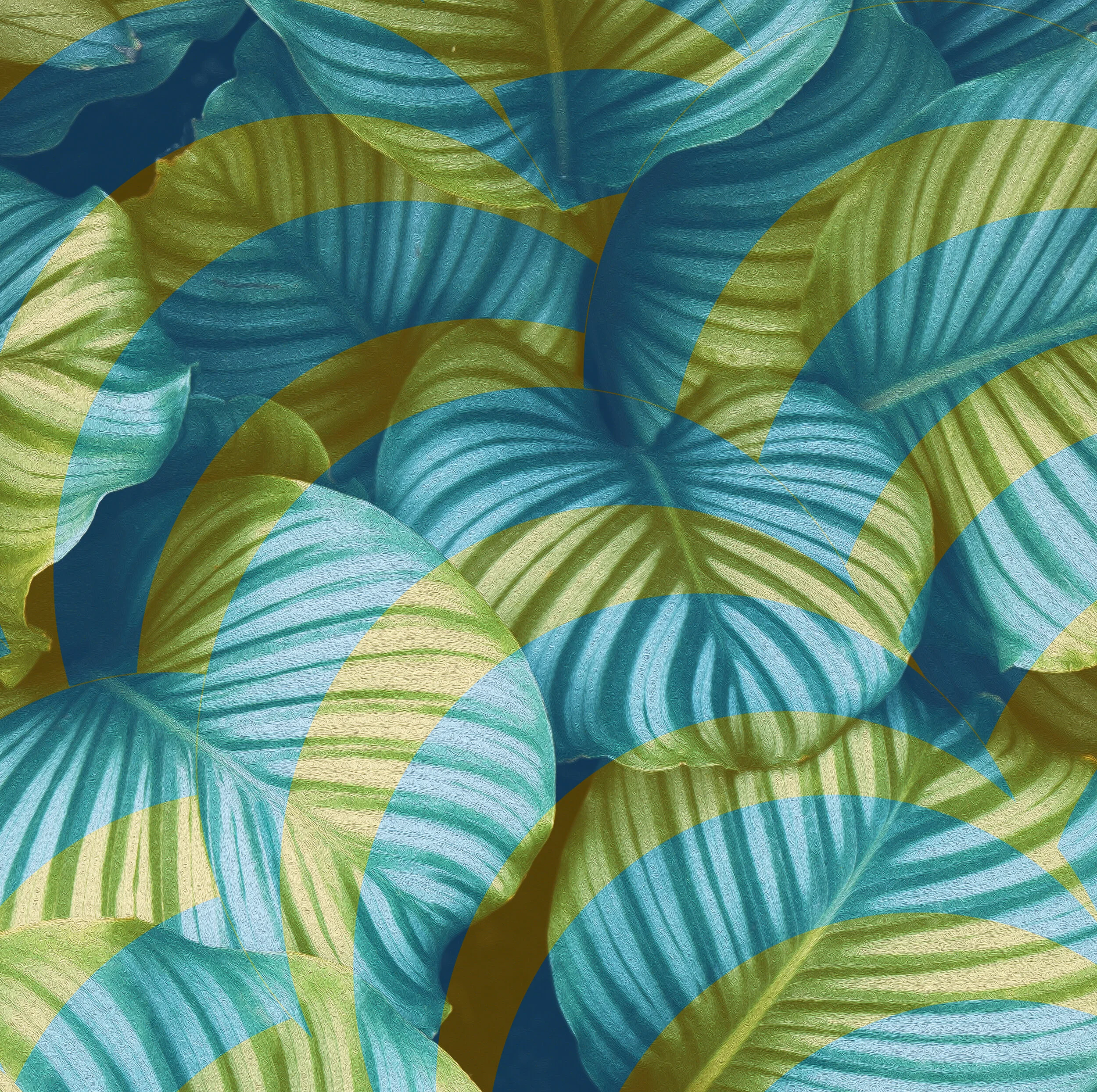 UntitledRES copy.jpg