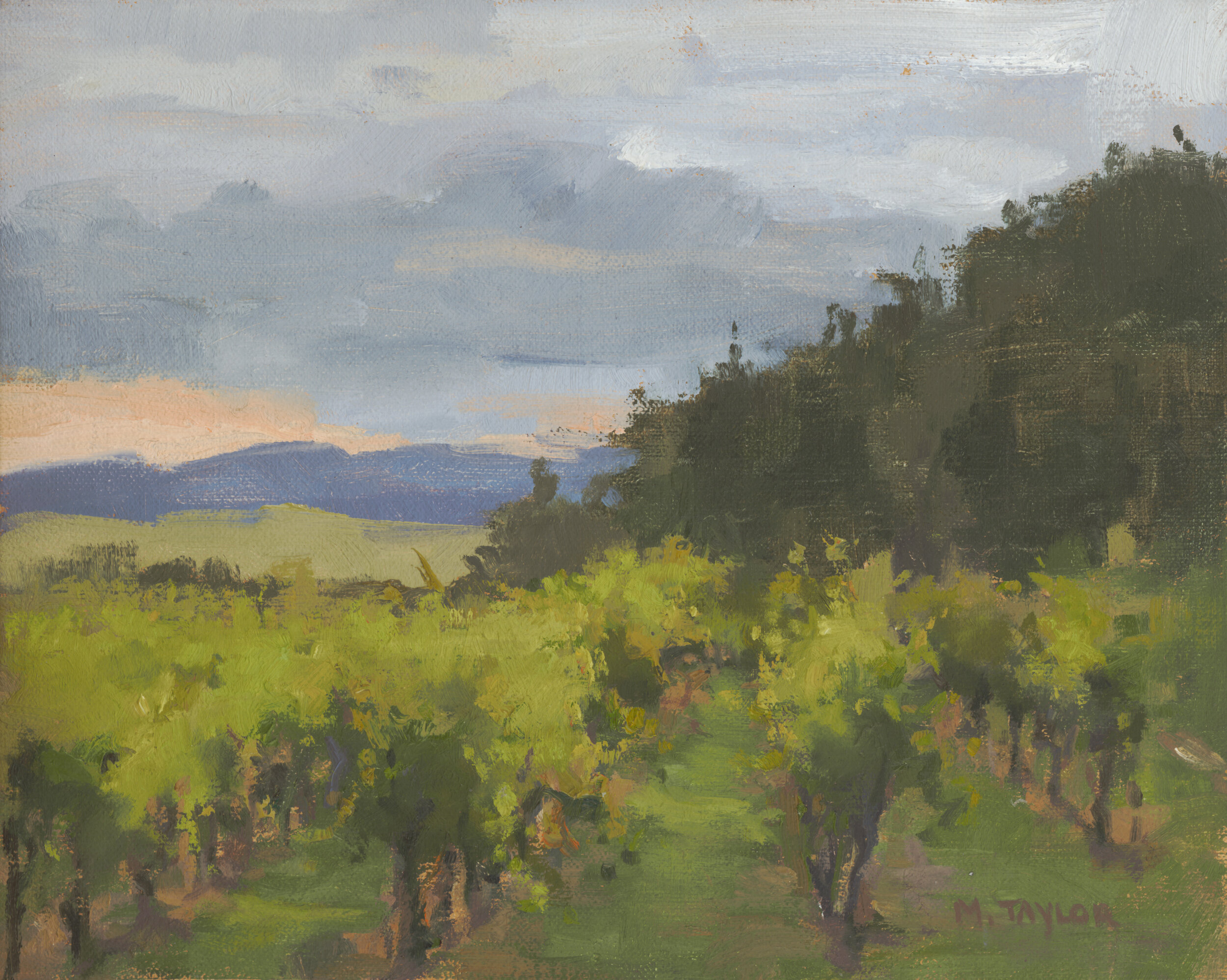 Austrian Vineyard, 8 x 10, Oil on Linen Board