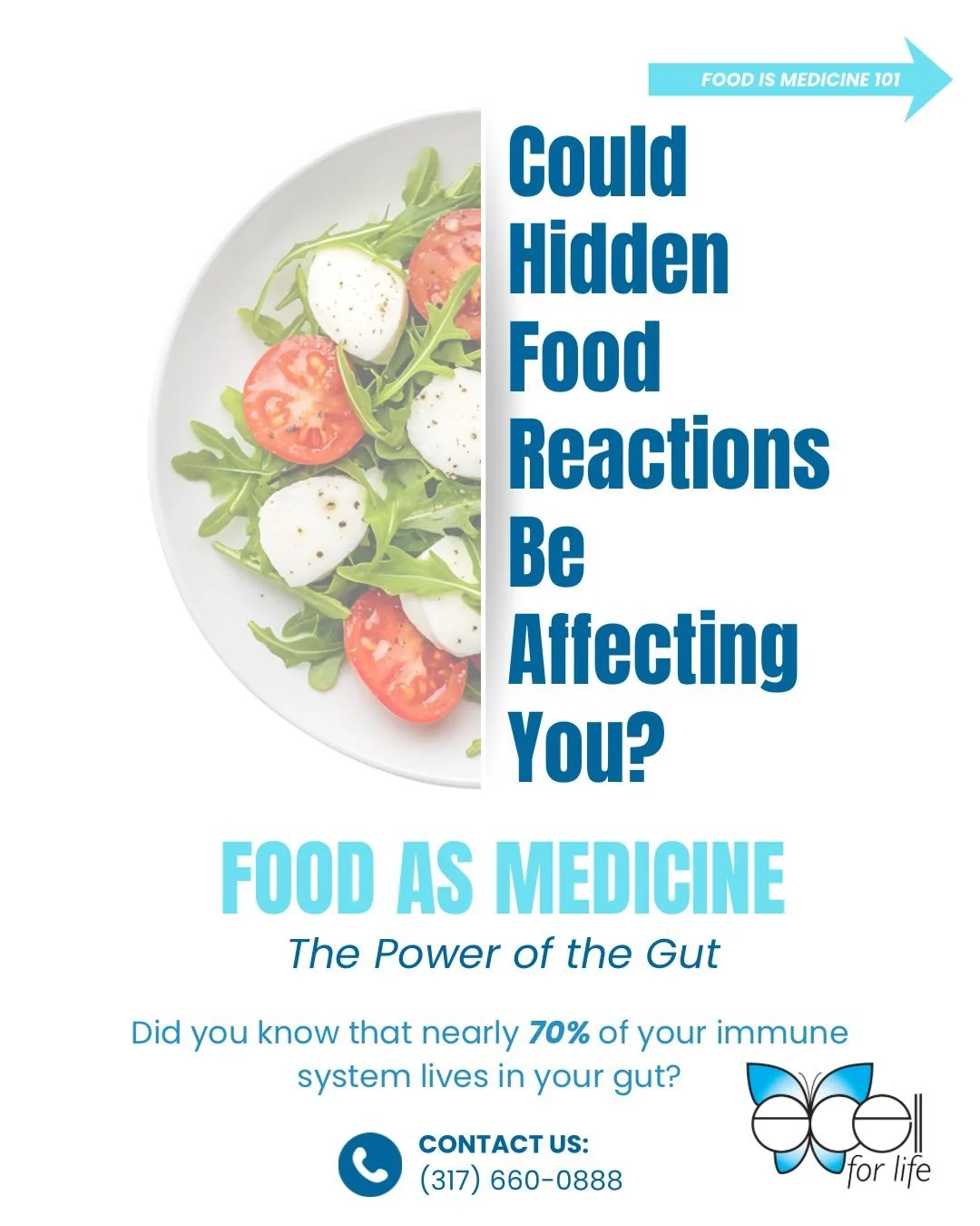 🌱 Food as Medicine: Support Your Gut 🌱

Nearly 70% of your immune system lives in your gut! Hidden food reactions (IgG sensitivities) can cause bloating, fatigue, headaches, skin issues, joint pain, brain fog, and weight struggles. Sometimes hours 