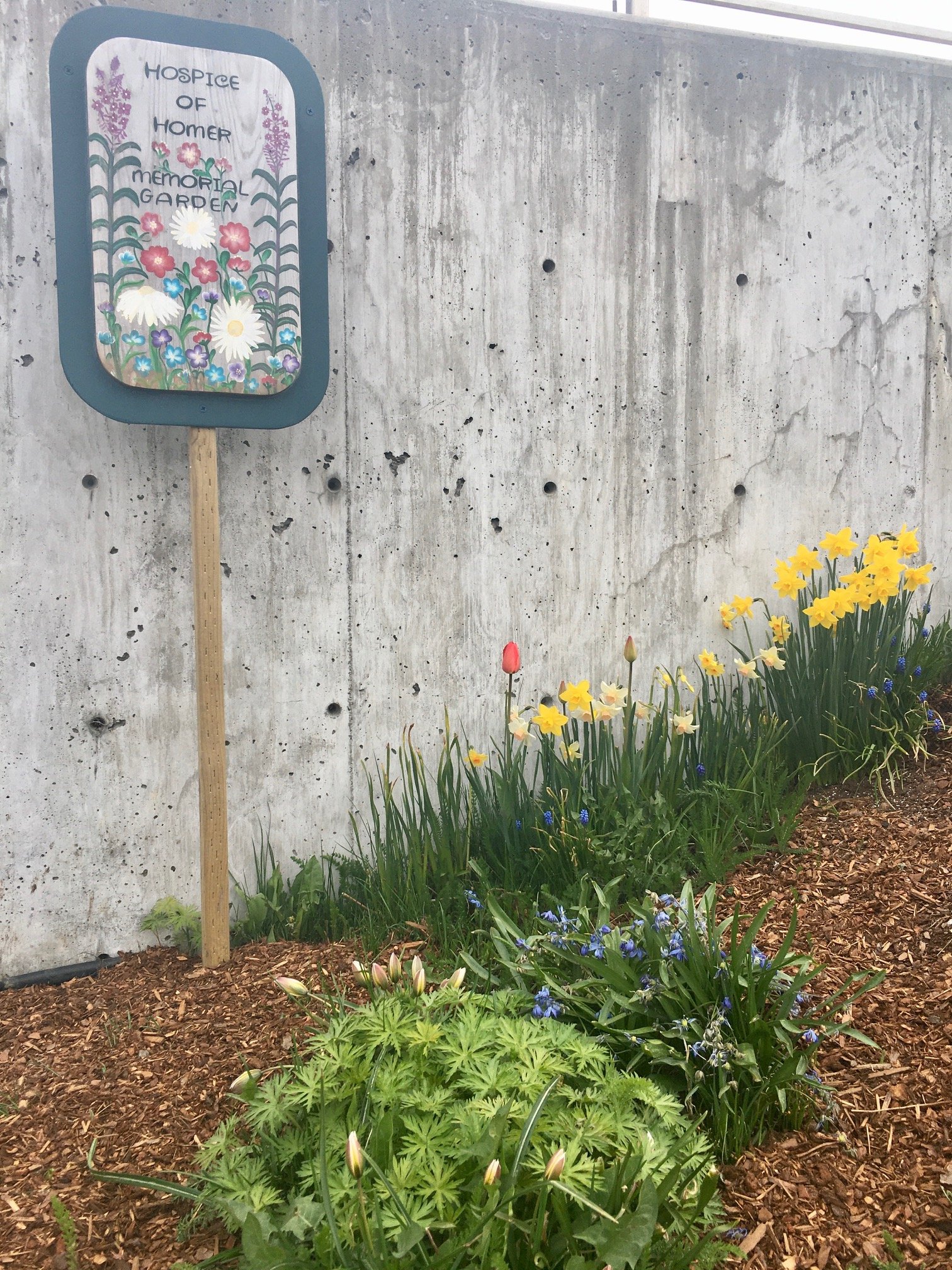May 2021 Newsletter