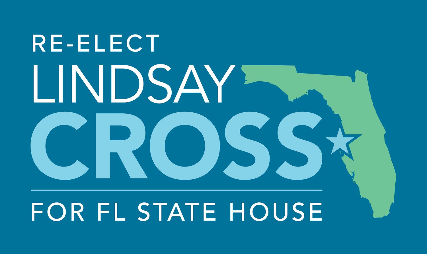 Lindsay Cross for State House