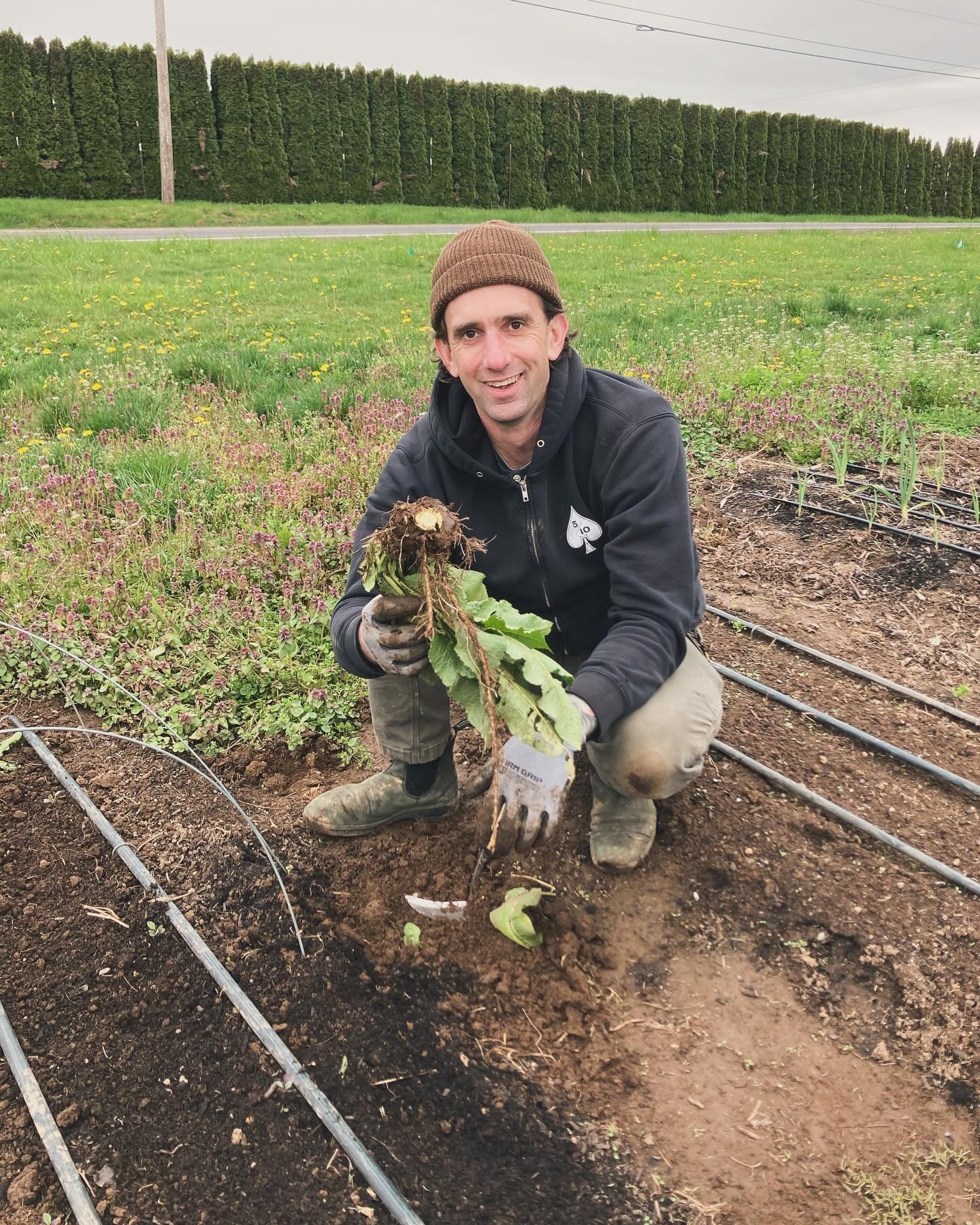 Meet Paul, our 2024 apprentice from Rogue Farm Corps! Paul brings a wealth of experience ranging from food service to metal fabrication. He&rsquo;s hit the ground running with us this past week at Thimbleberry, diving into everything from transplanti