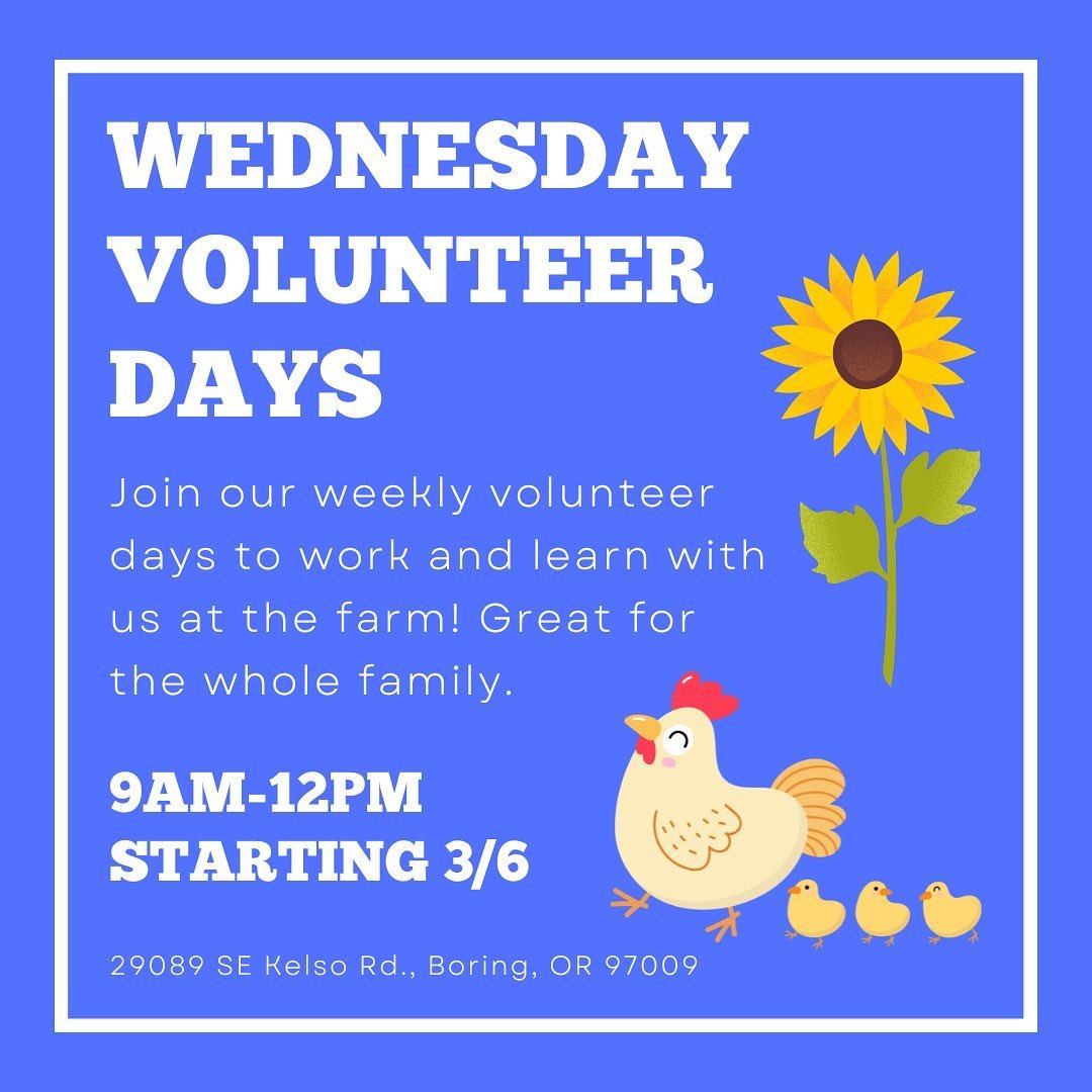Reminder that we have weekly volunteer days on Wednesdays, 9am-12pm! Tomorrow we&rsquo;ll be harvesting turnips, doing some farm clean-up, painting a table with rainbow colors, and more! 🌈 Hope to see you there. Sign up link is in our bio 🌱