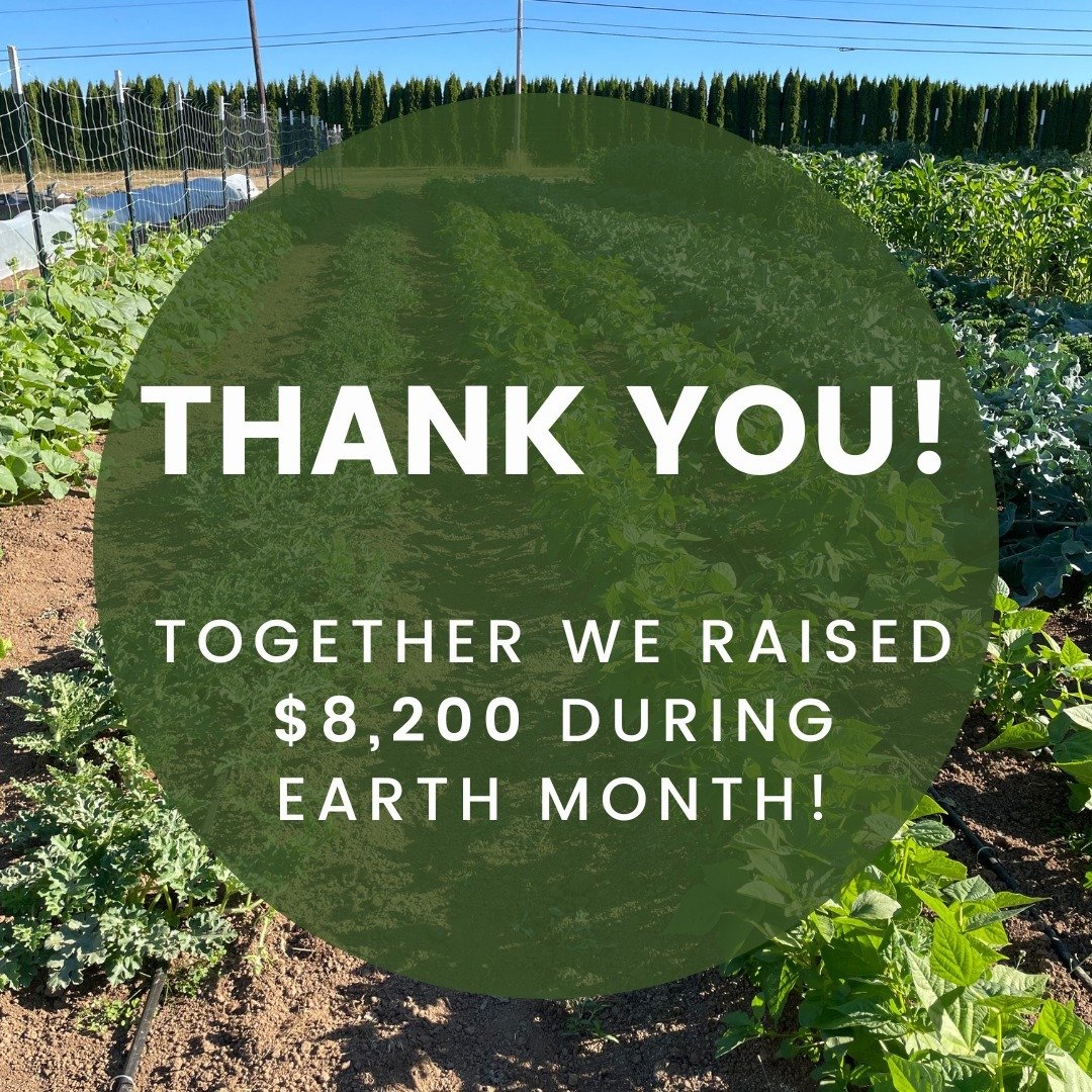 Together the Thimbleberry community raised $8,200 during the month of April! 

We are so grateful for all of your support, and especially thankful for our Board and Ambassador Board members for raising these funds to champion regenerative agriculture