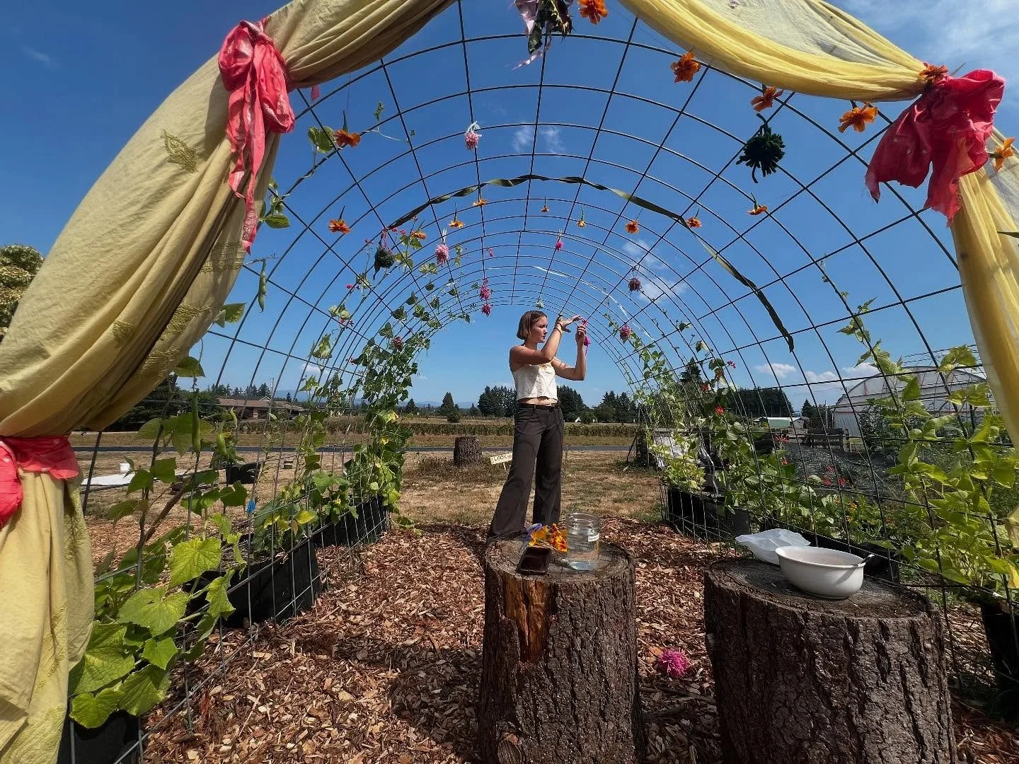 Some favorite moments from past Harvest Celebrations ✨ Join us September 13 at the farm to experience the magic! Highlights will include:

🌻 beautiful farmy vibes
🧑&zwj;🌾 farm tour
🍻 delicious food and drinks
🎨 educational and artsy activities f