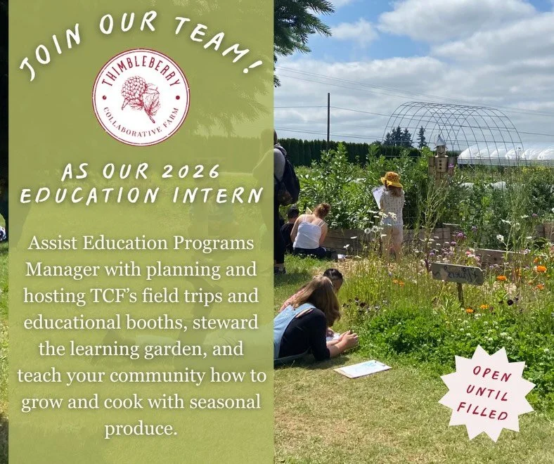 Thimbleberry is looking for our next Education Intern!🌱 🪱🐓🌻

If you are interested in joining us to help lead field trips, teach students, and empower the community to grow and cook with seasonal produce, this might be the perfect fit for you.

D
