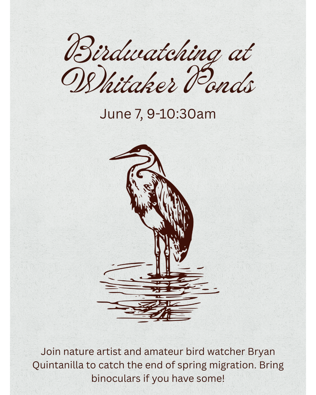 Birdwatching at Whitaker Ponds