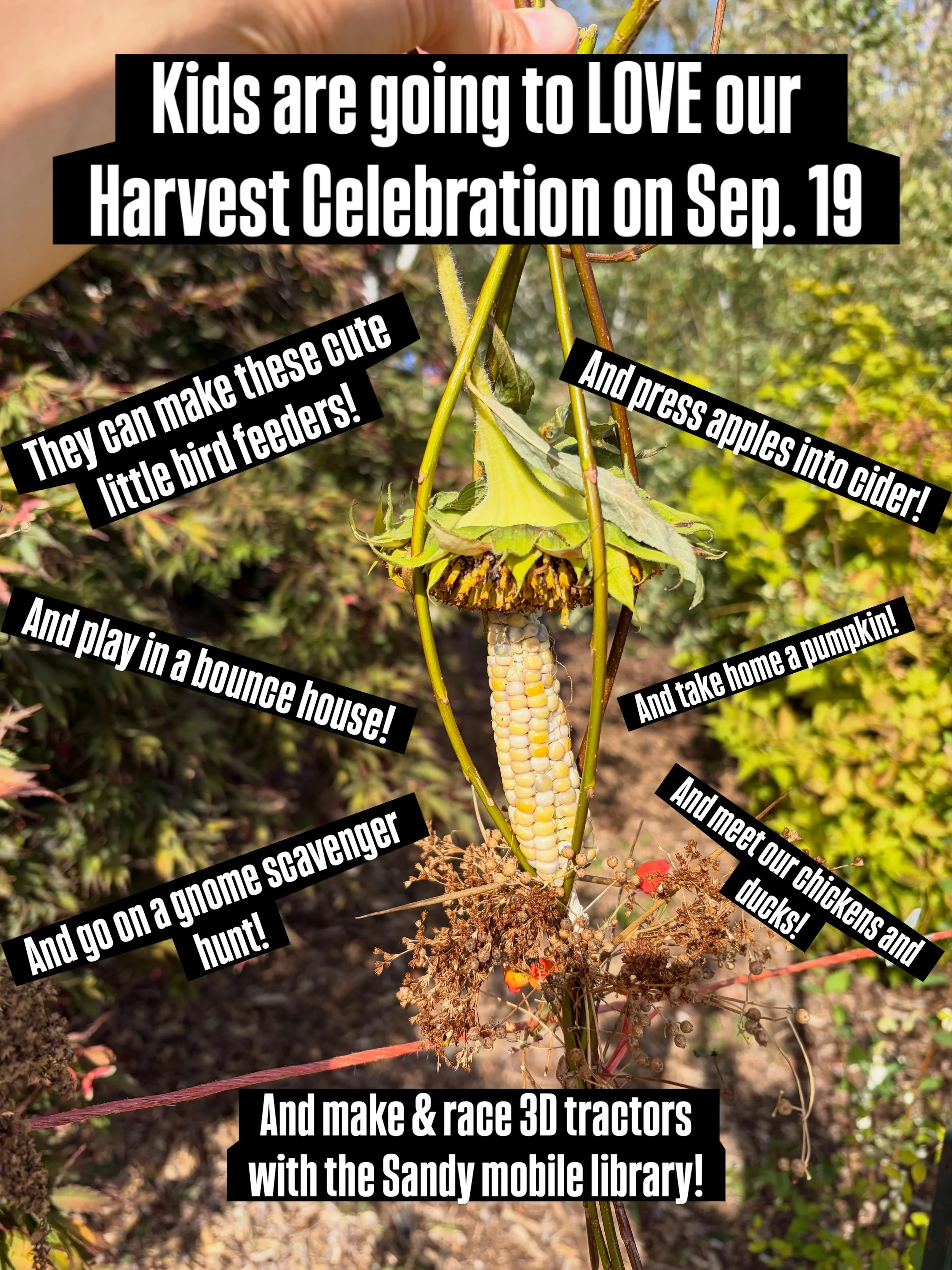 It&rsquo;s basically going to be a kids paradise at the Harvest Celebration on Sep. 19, but really there will be something fun for everyone! DIY bird feeders, 3D tractor making and racing, cider pressing, pumpkins!, a bounce house, a gnome scavenger 
