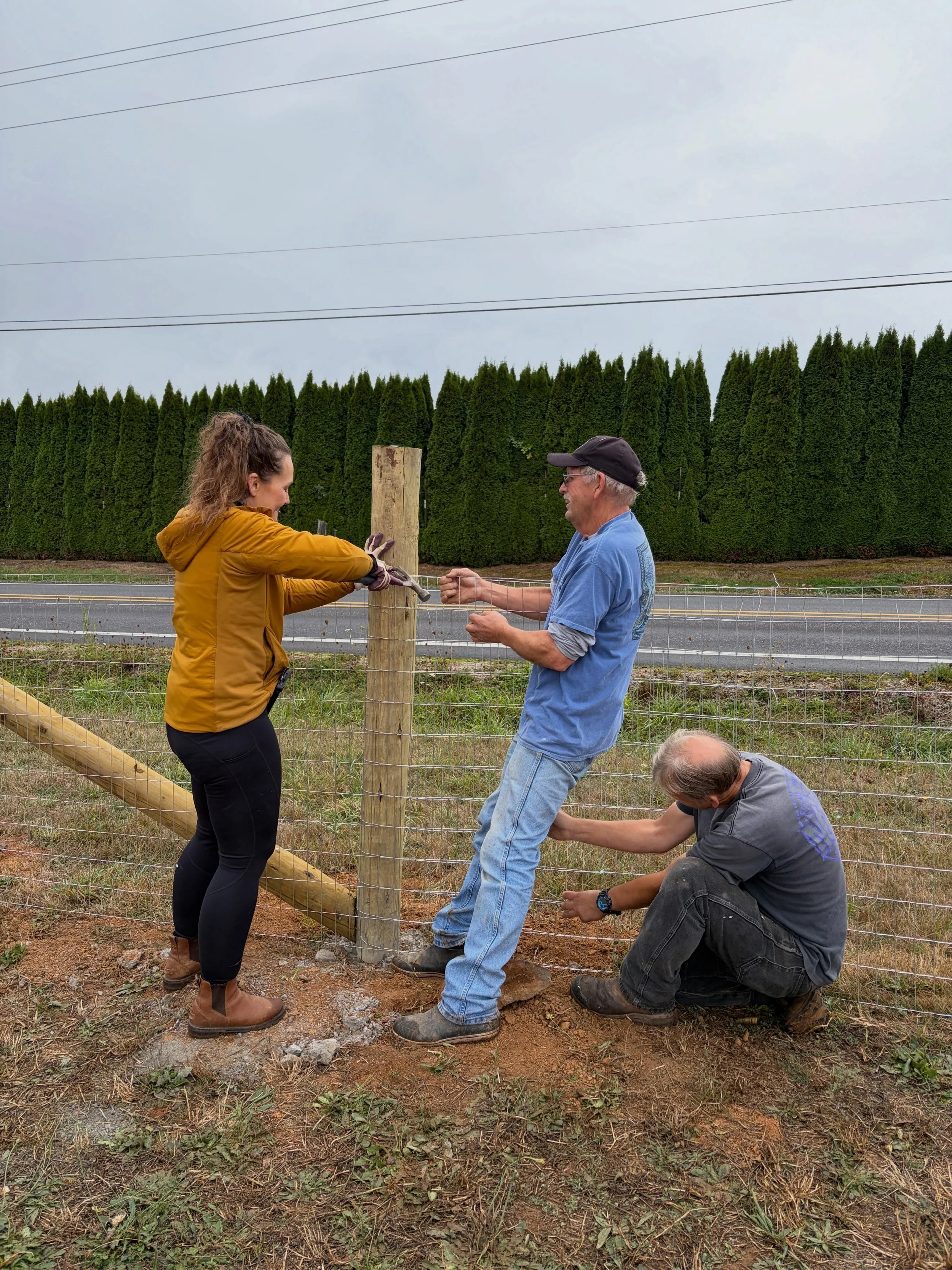 🎃 A huge thank you to everyone who joined us on Saturday for our fall volunteer day, pizza party, and pumpkin carving event! The fence along Kelso Rd. is finished (!!) and we are so excited that it is already keeping kiddos a little safer here at th