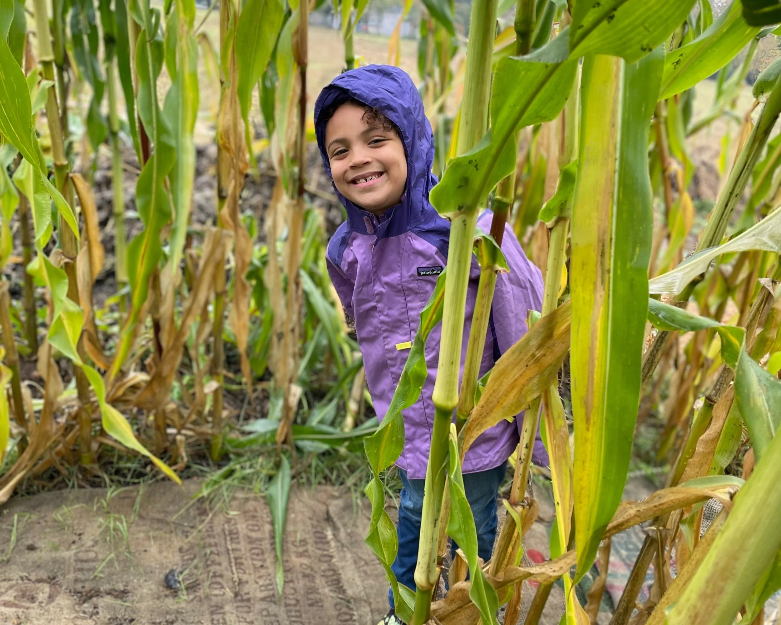 Thimbleberry Collaborative Farm