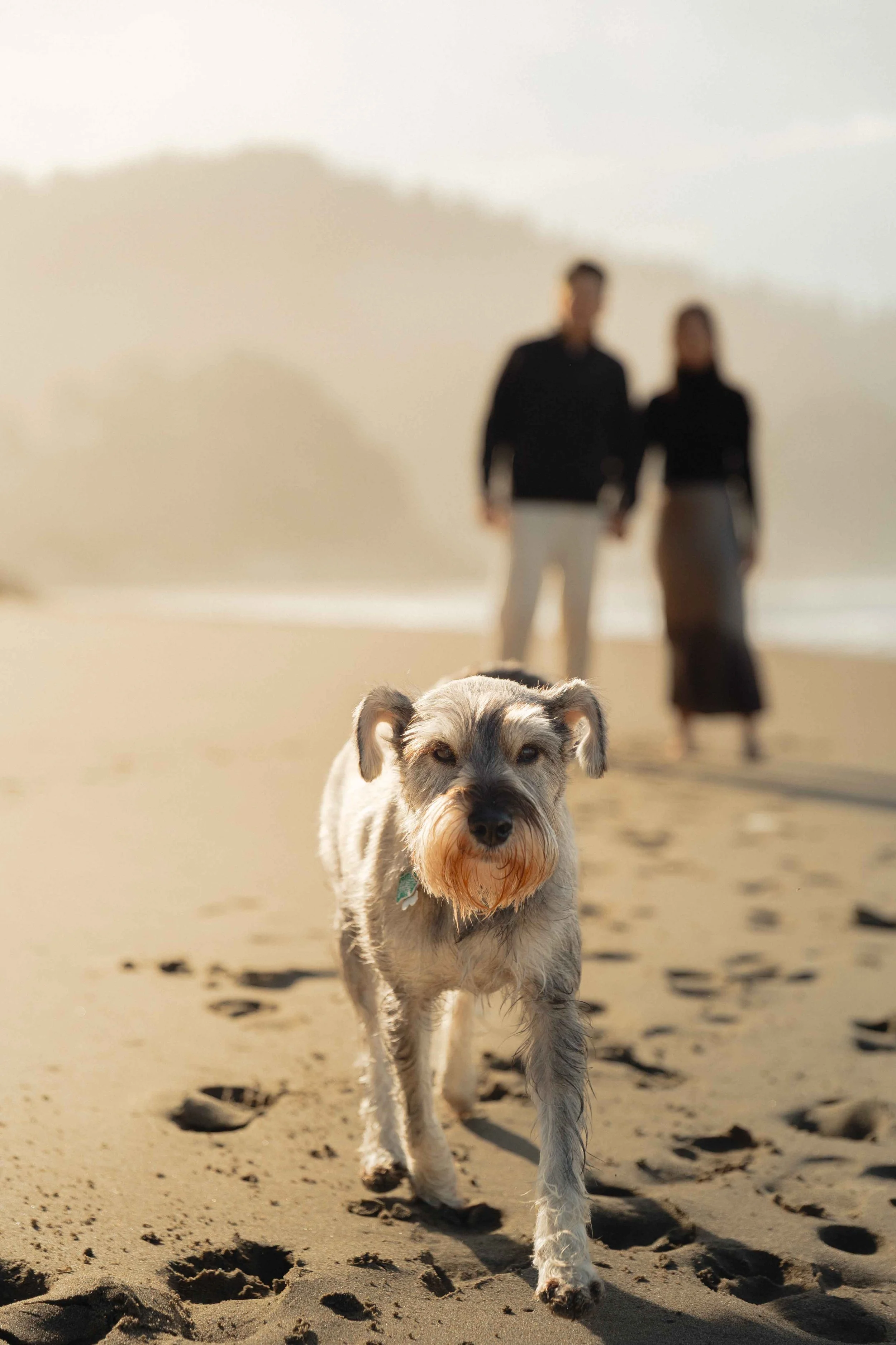 Oregon Coast Engagement Photographer-21.jpg