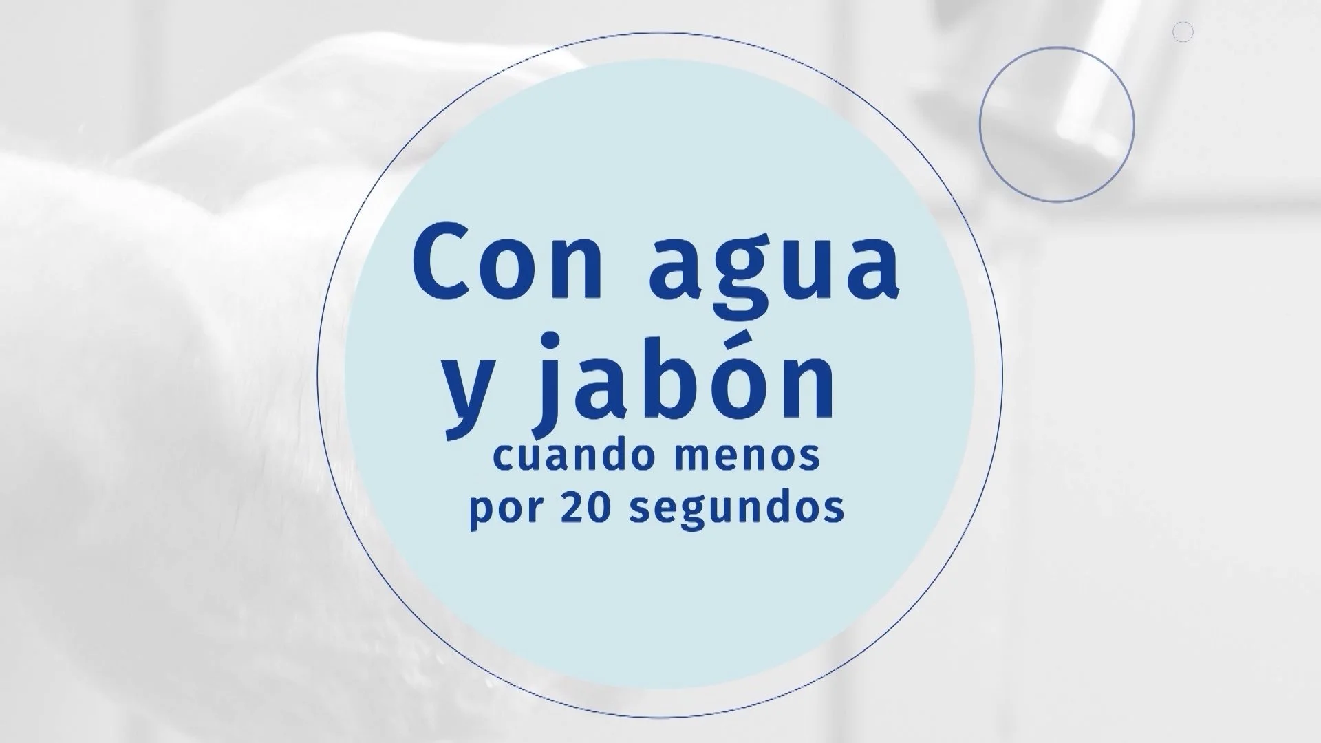Wash Your Hands! (Spanish Version)
