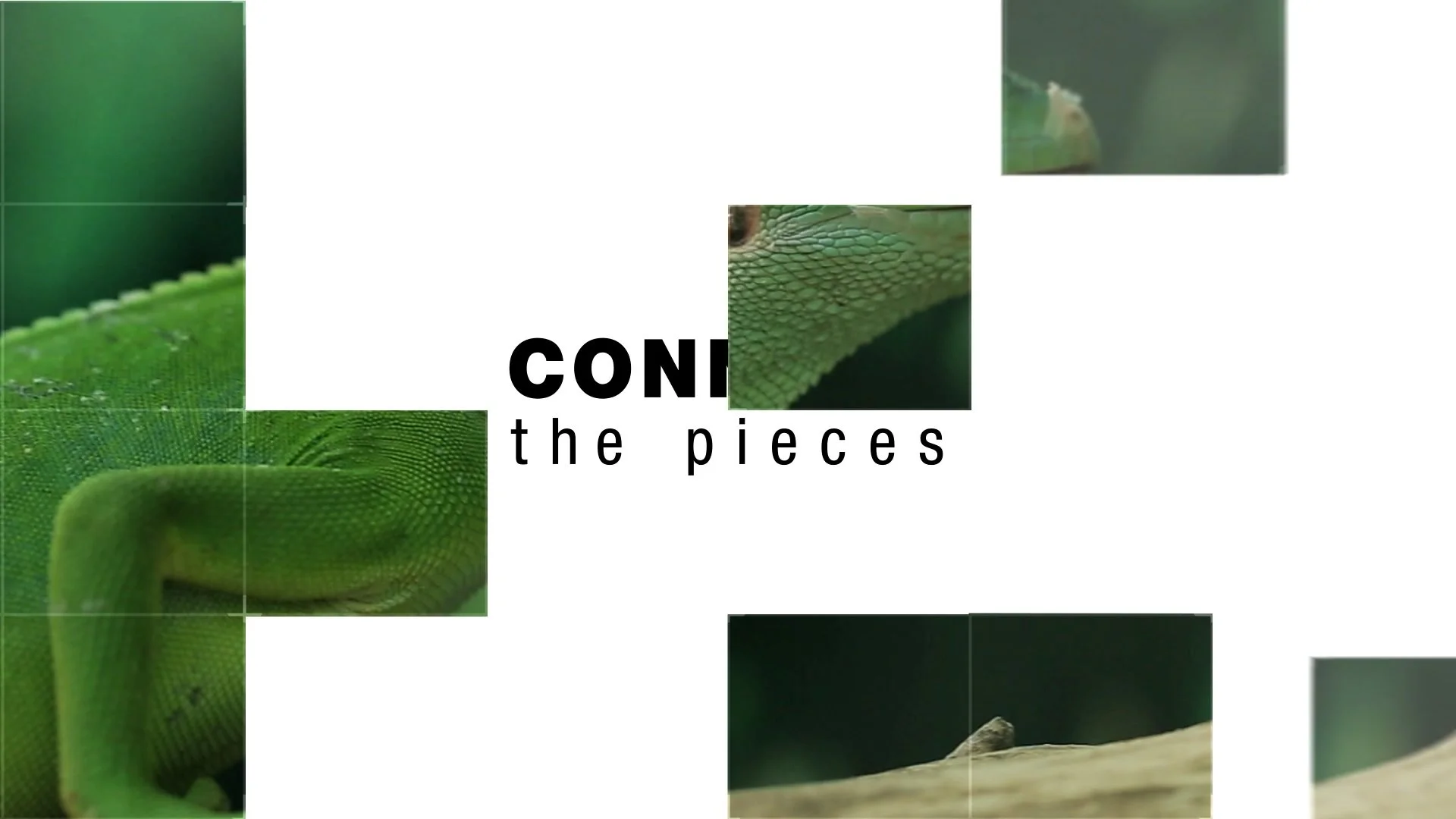 Connect The Pieces