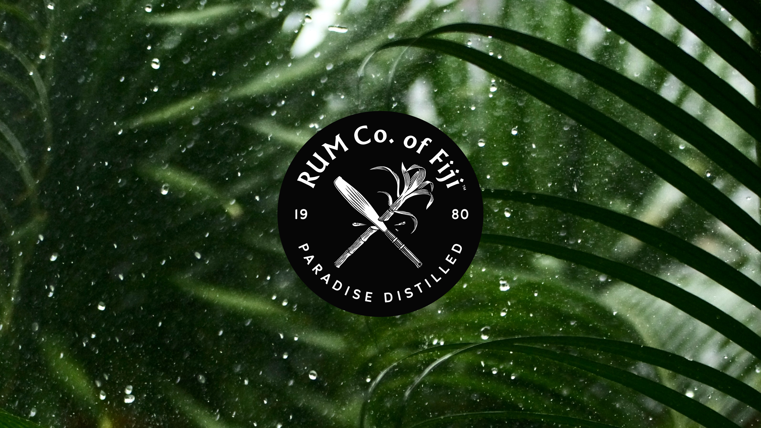 02-Logo.png