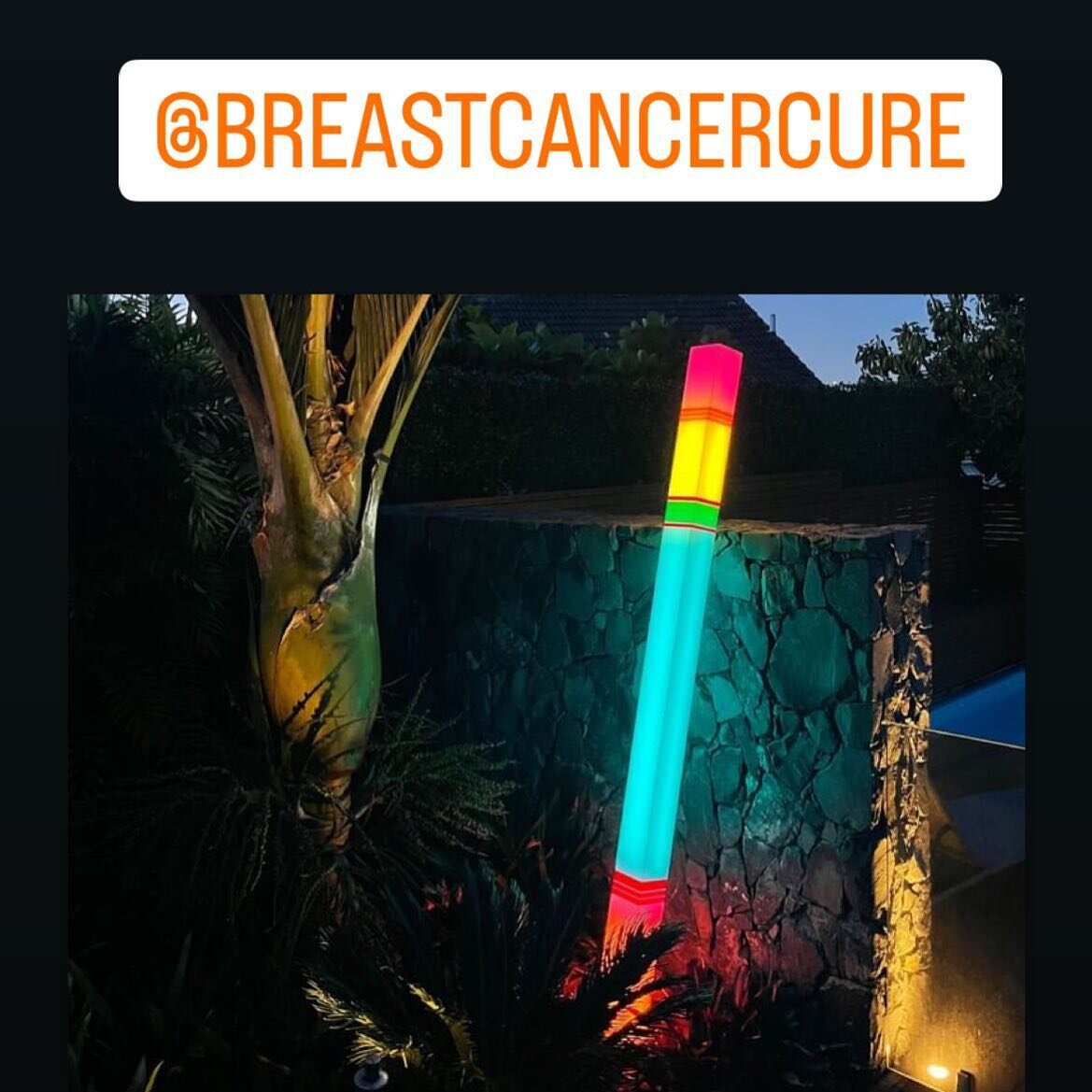 #dineforacure @breastcancercure check out live auction 4 May at Dine for a Cure in #queenstown 🥰🙏 #lightart #trishcampbell