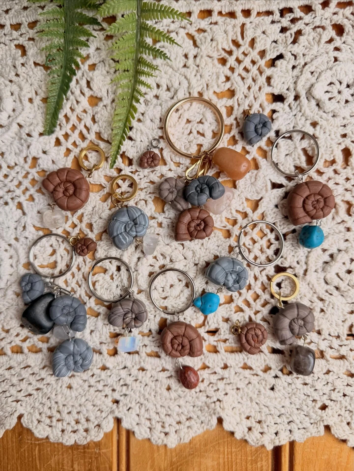 May I introduce you to my son&rsquo;s favorite prehistoric creature (at the moment), the ammonite. 
These cephalopods lived for millions of years, surviving 3 mass extinctions before finally going extinct around the same time as the dinosaurs. Each a