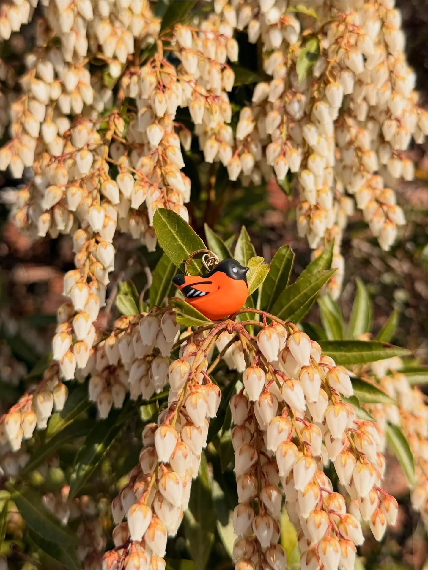 Happy Opening Day to the @orioles from this teeny oriole 🧡⚾️