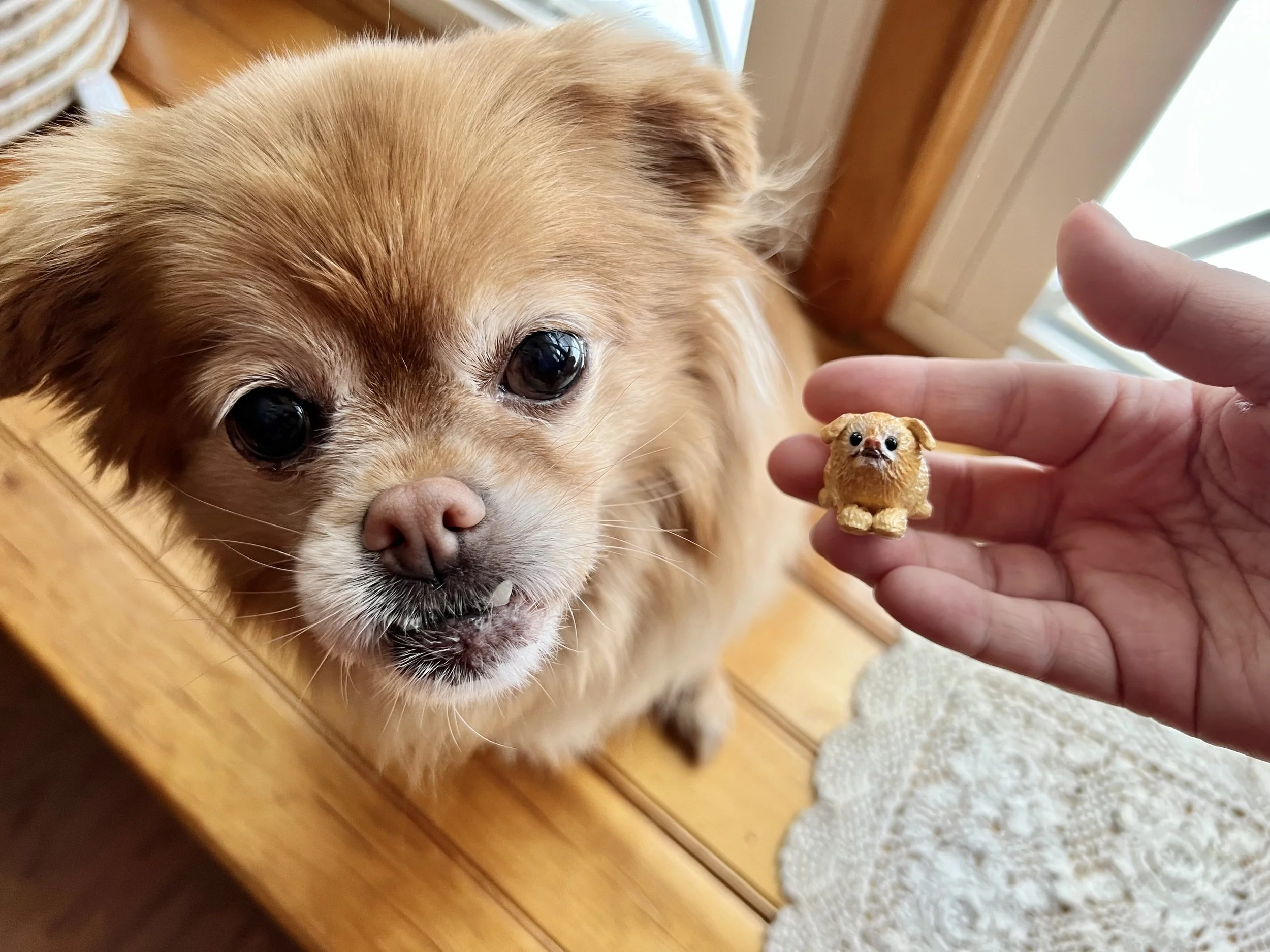 Sculpt-a-pet Workshop