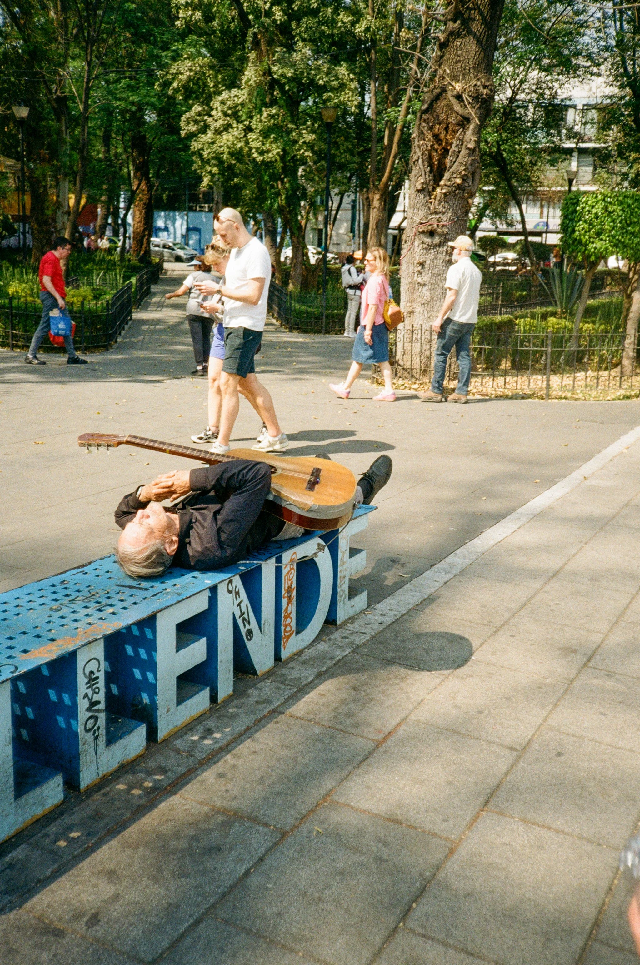 Peculiar nap in front of Mercado Coyocan.