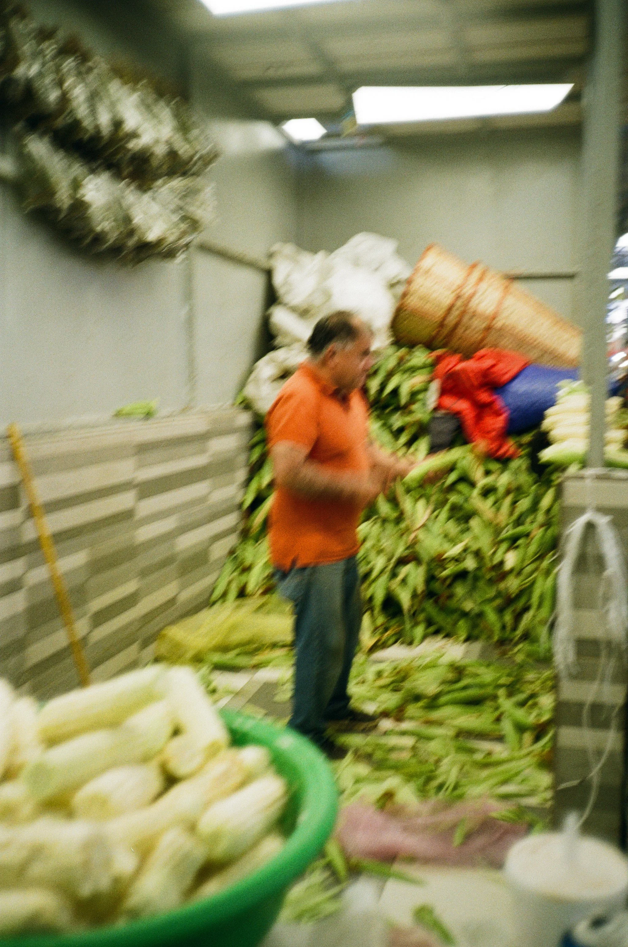 I was being a coward in the San Martin market. A man cleaning corn. 