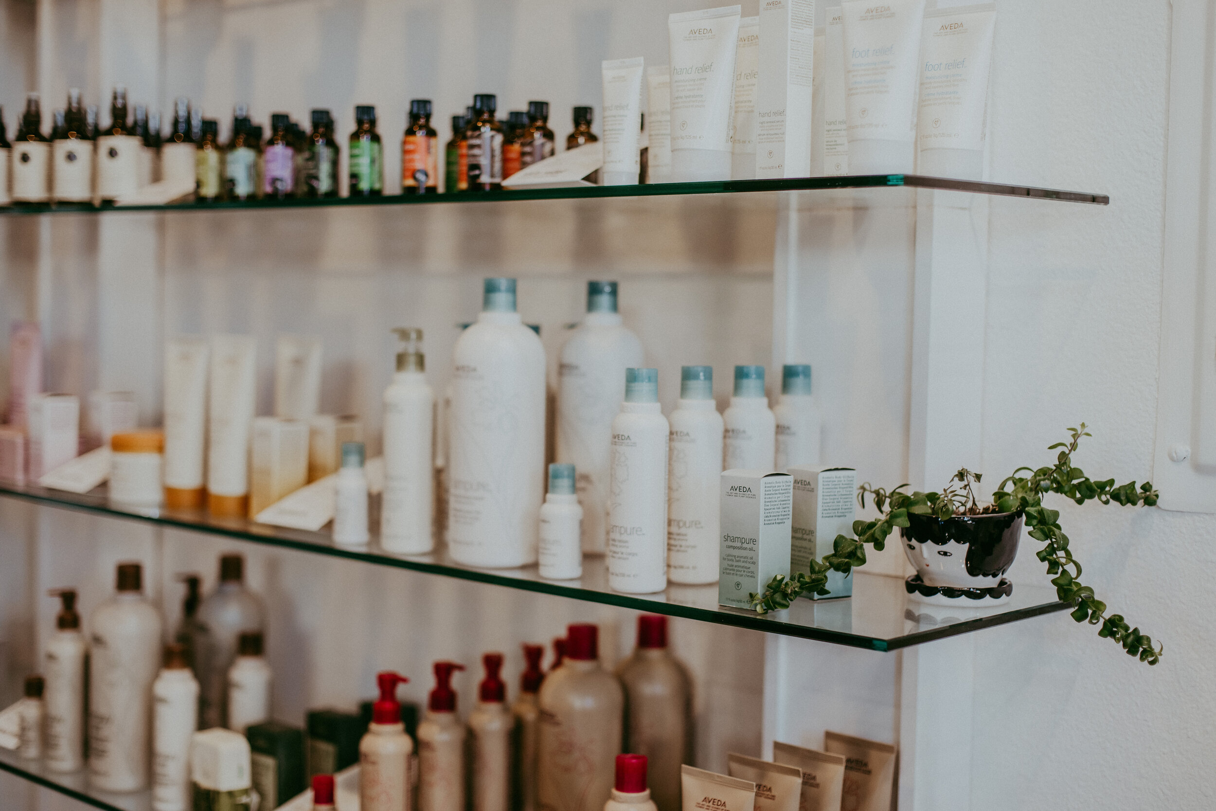 Shelves of Aveda products