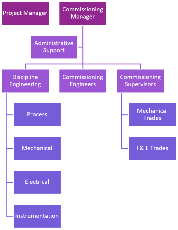 Completions — Vecta Group
