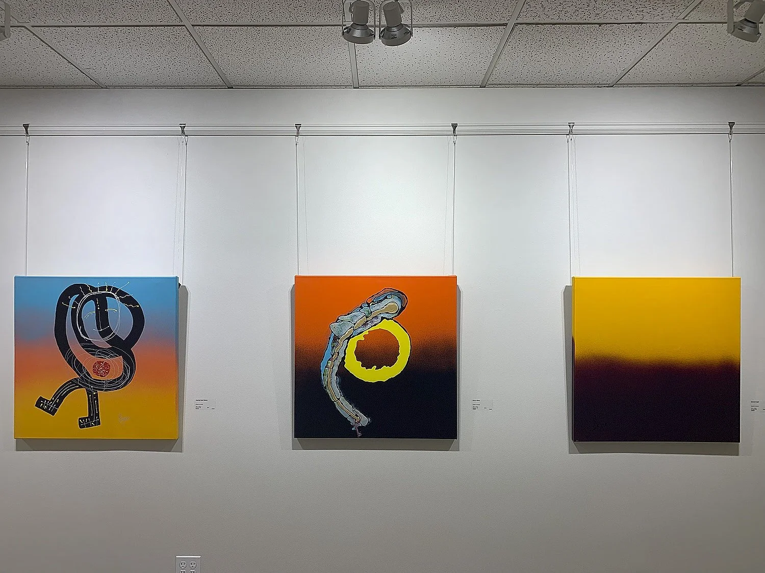 Installation View of the Exhibition