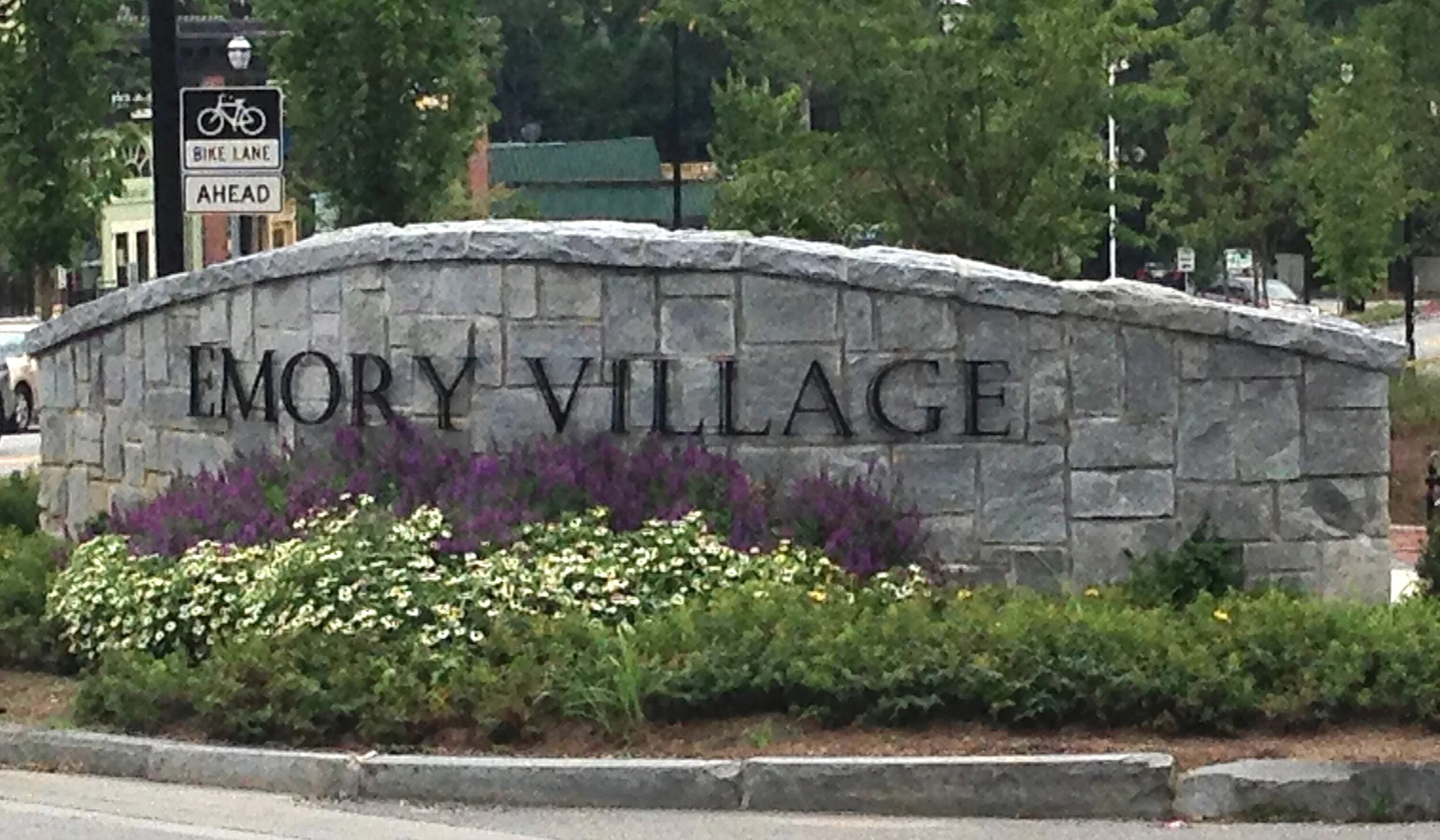 About — Emory Village Alliance