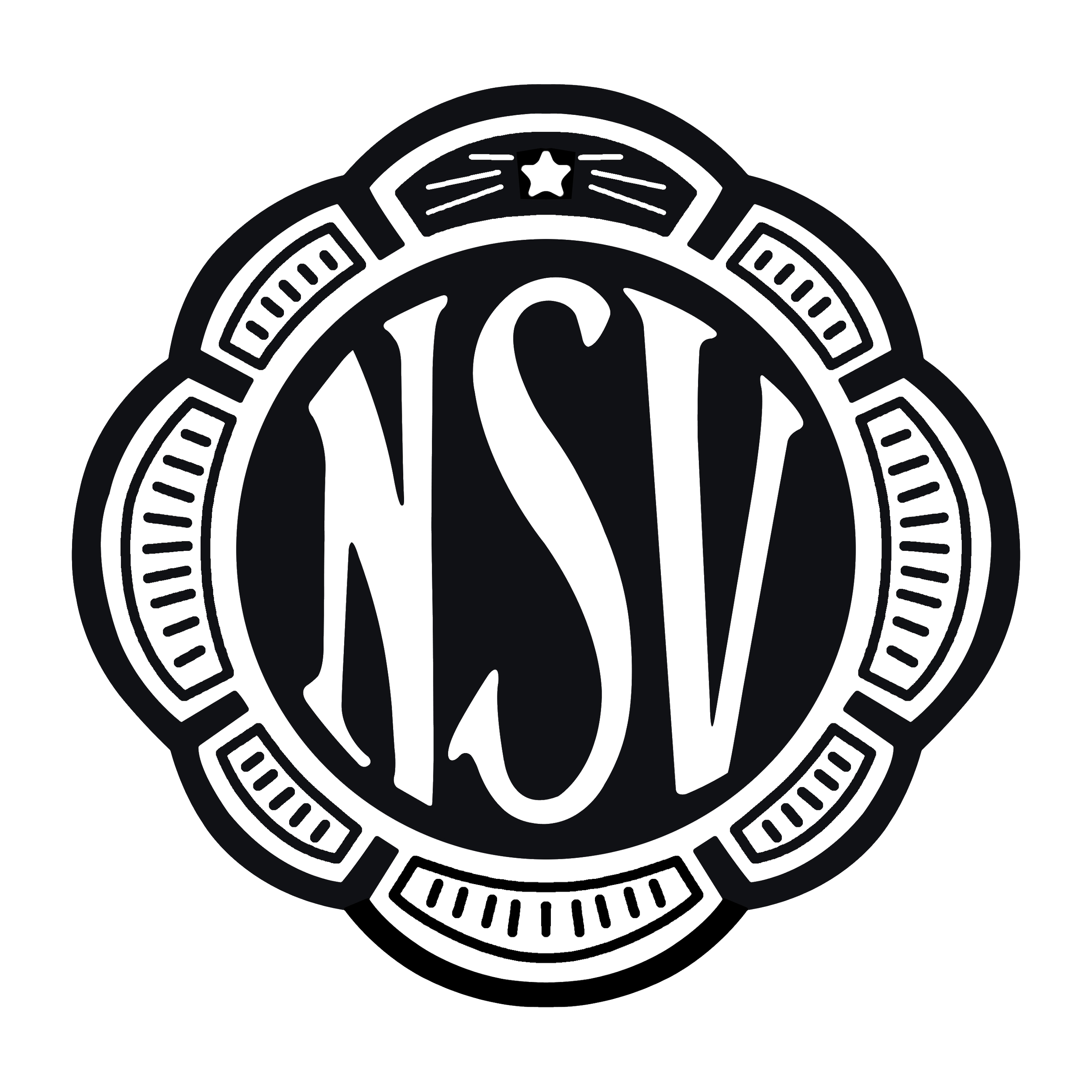 NSV1 (1).png