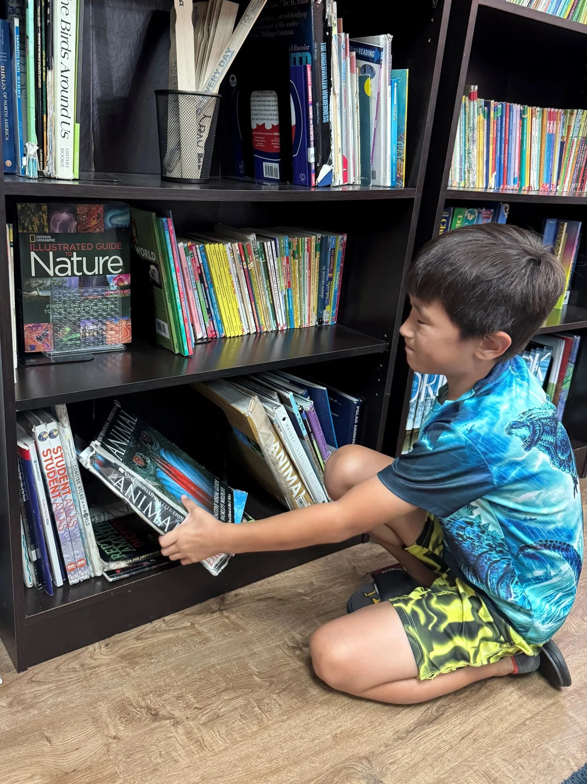 Freedom Within Limits: Why Montessori Isn’t “Anything Goes”