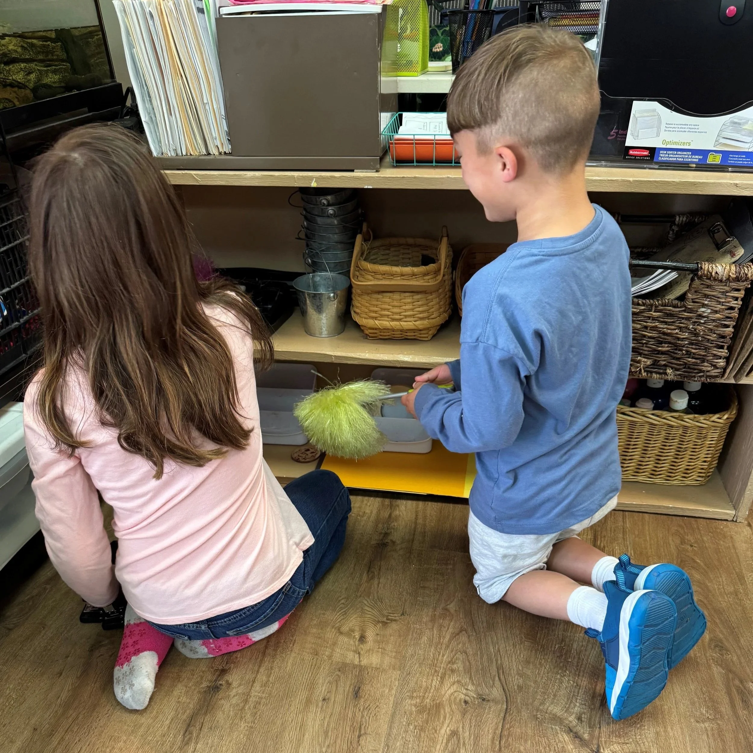 Service &amp; Stewardship: Montessori’s Approach to Community