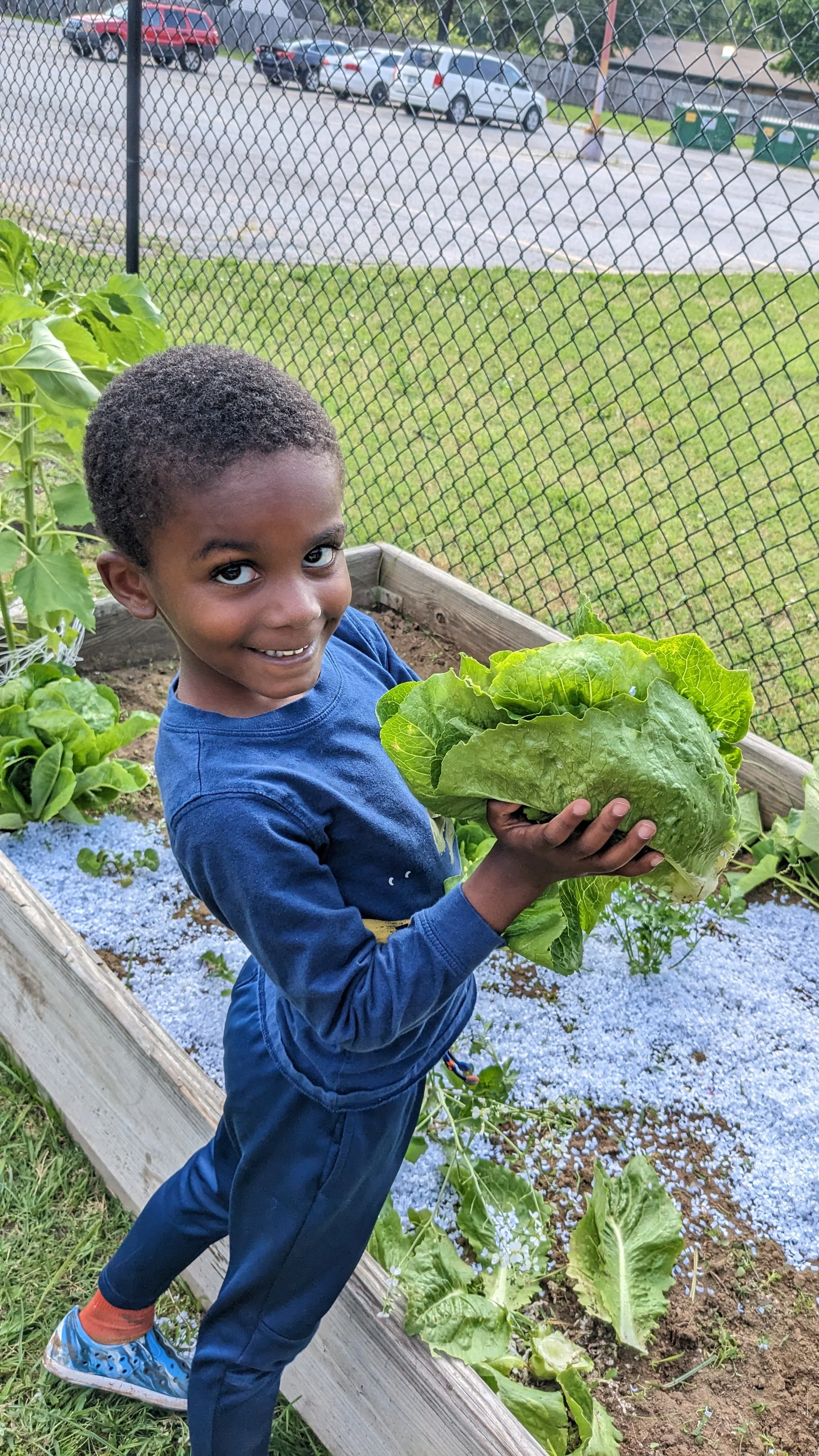 Bringing Montessori Home This Summer: Meaningful Learning Beyond the Classroom