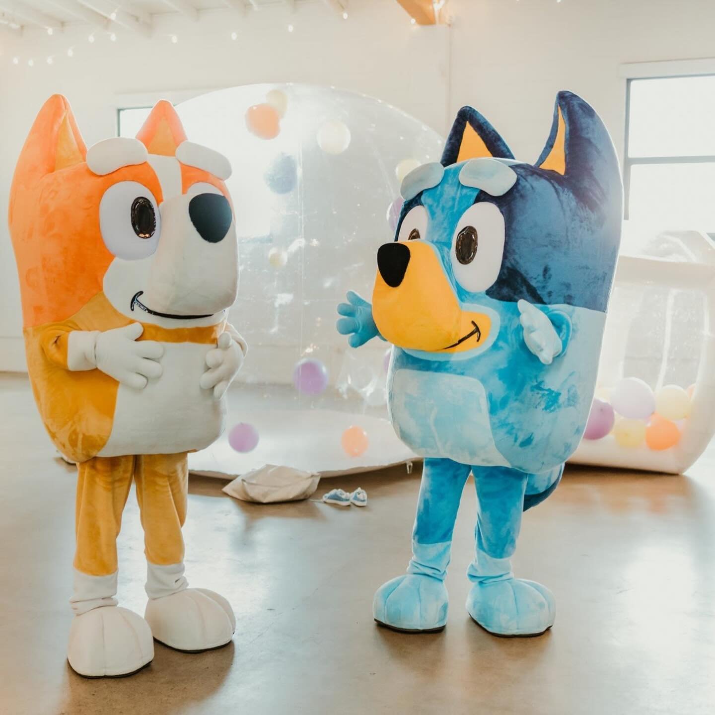 Bluey &amp; Bingo are bounce house ready! 🩵

The most fun set up on a POURING March day for Elena&rsquo;s 4th birthday

Photographer @charieee 
Design, concept, planning, rentals, backdrops &amp; balloons @isabellaspecialoccasions 
Bounce house &amp