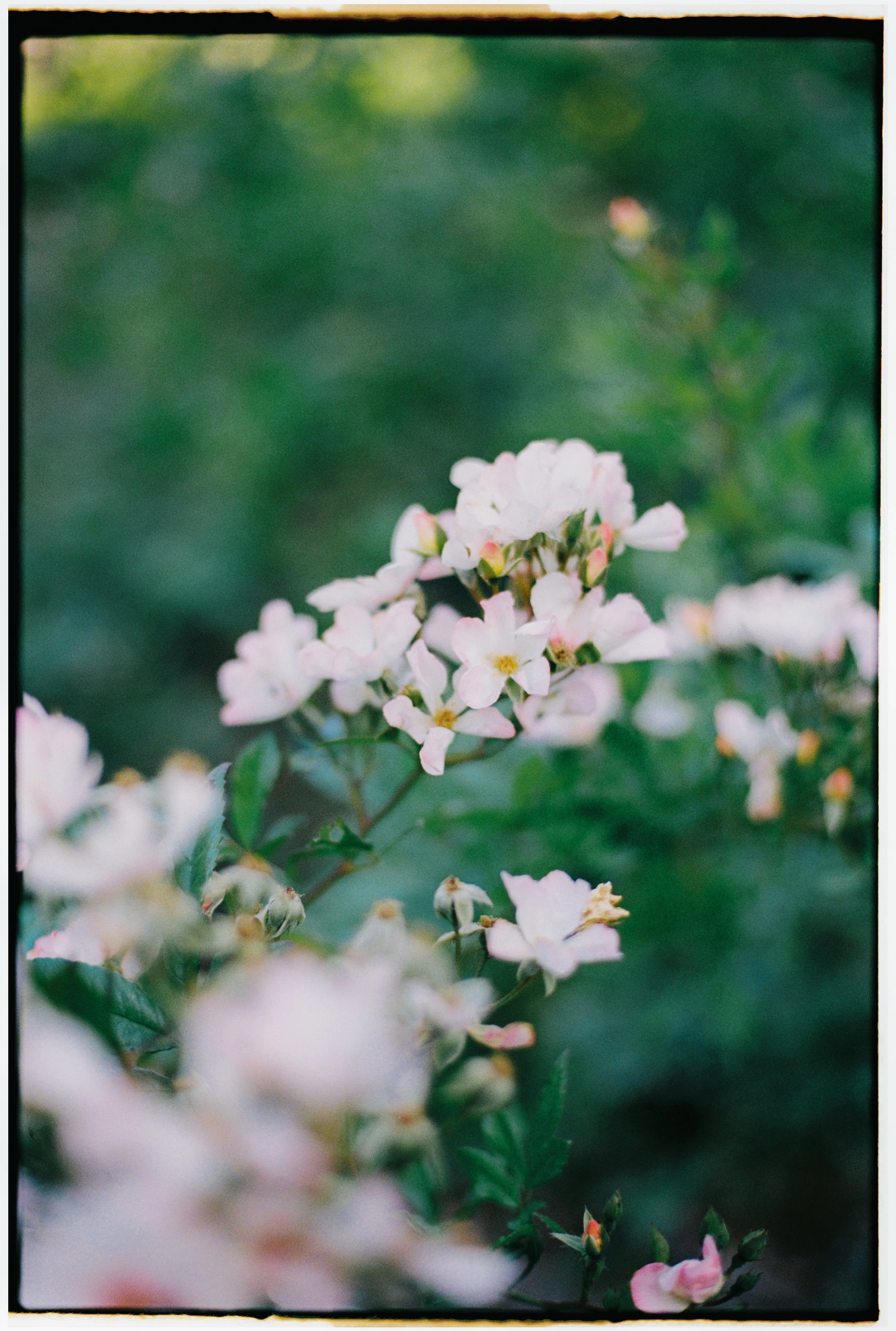 EMMAMATT - PORTRAITS-220.jpg