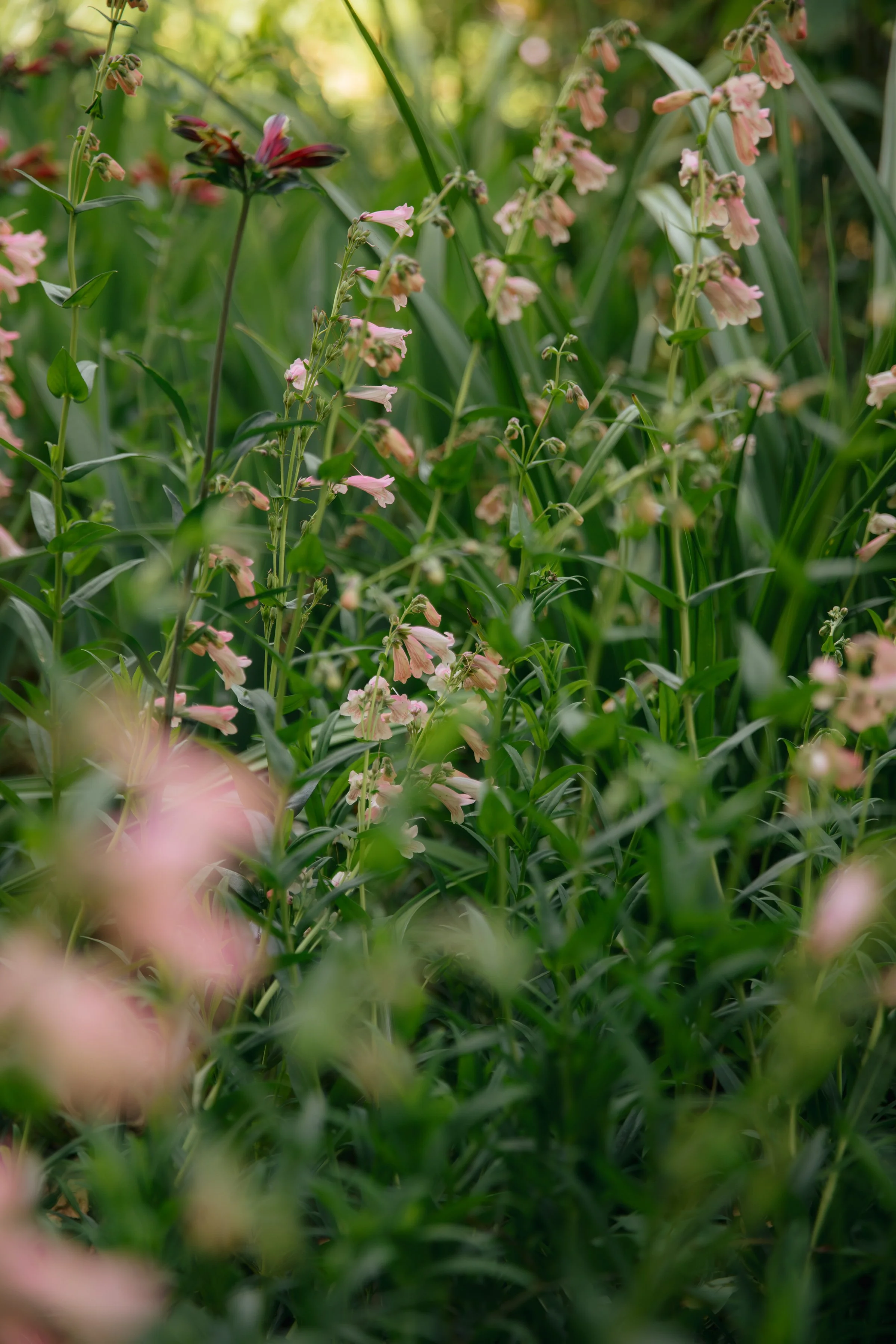 ZOEJEREMY2025 - PORTRAITS-097.jpg