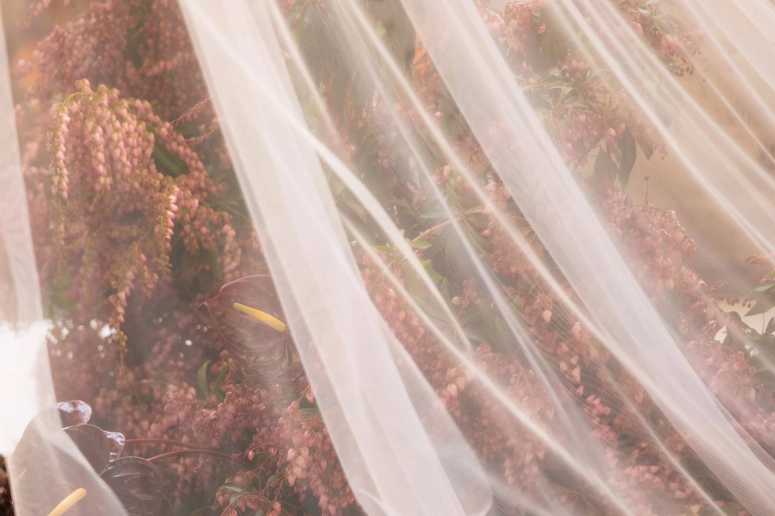 CEREMONY - BELLA + TRIS-134.jpg