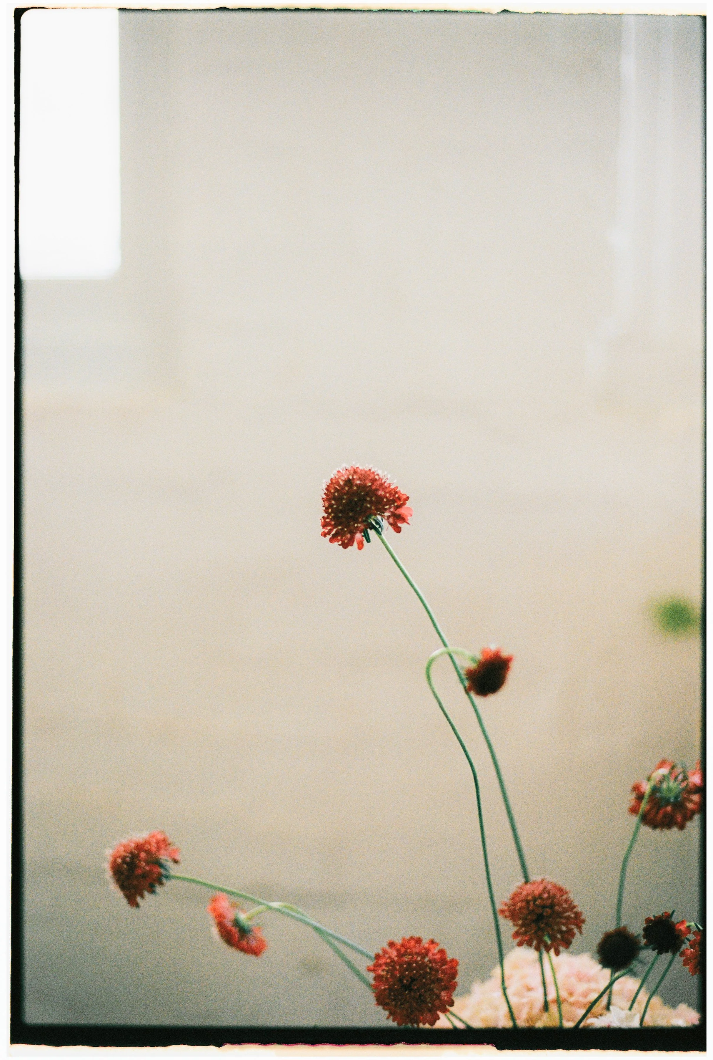 EMMAMATT - CEREMONY-004.jpg