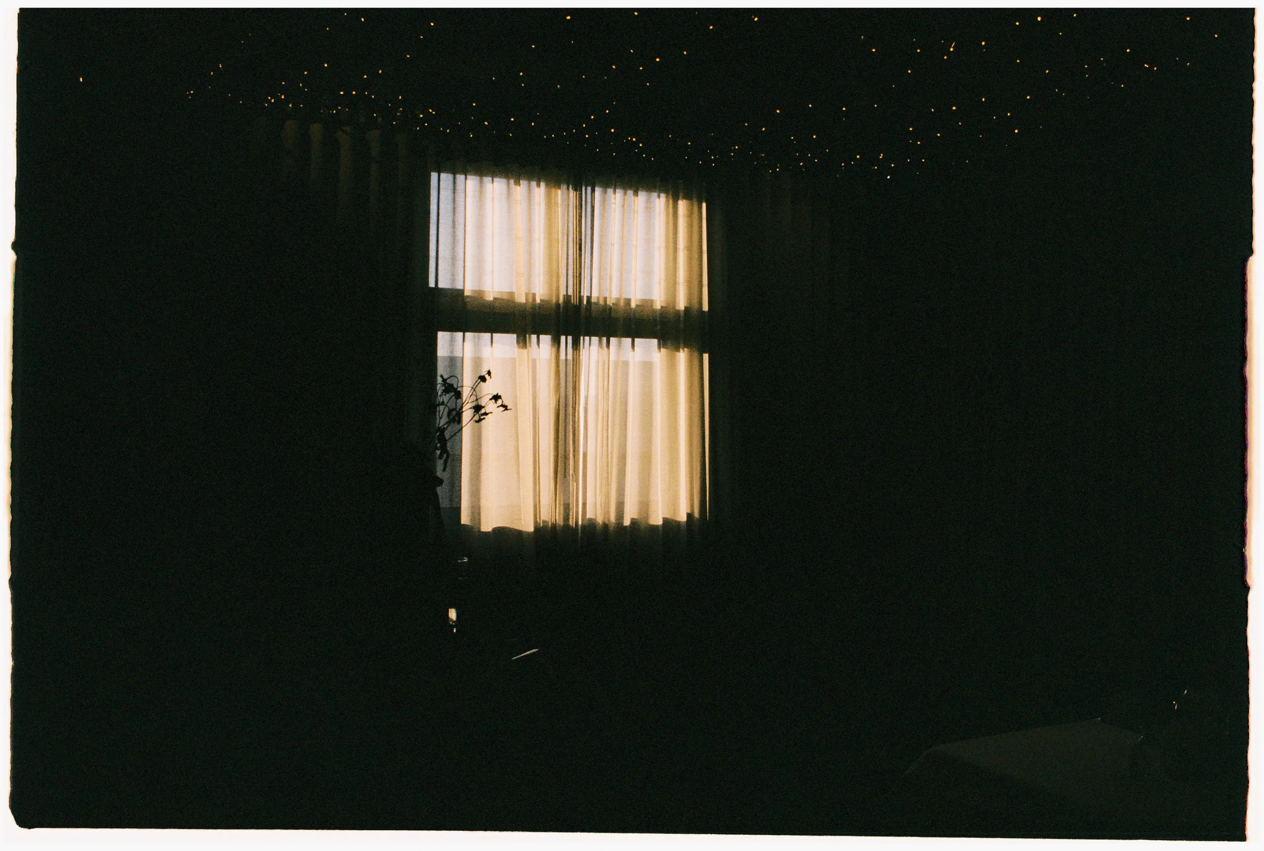 ZOEJEREMY2025 - RECEPTION-183.jpg